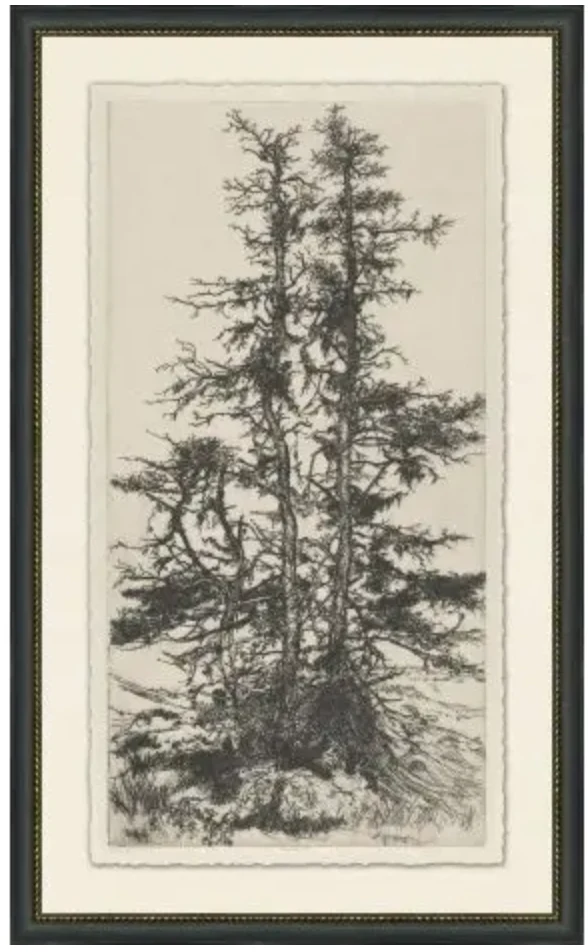 Tree Tops 3 Wall Art