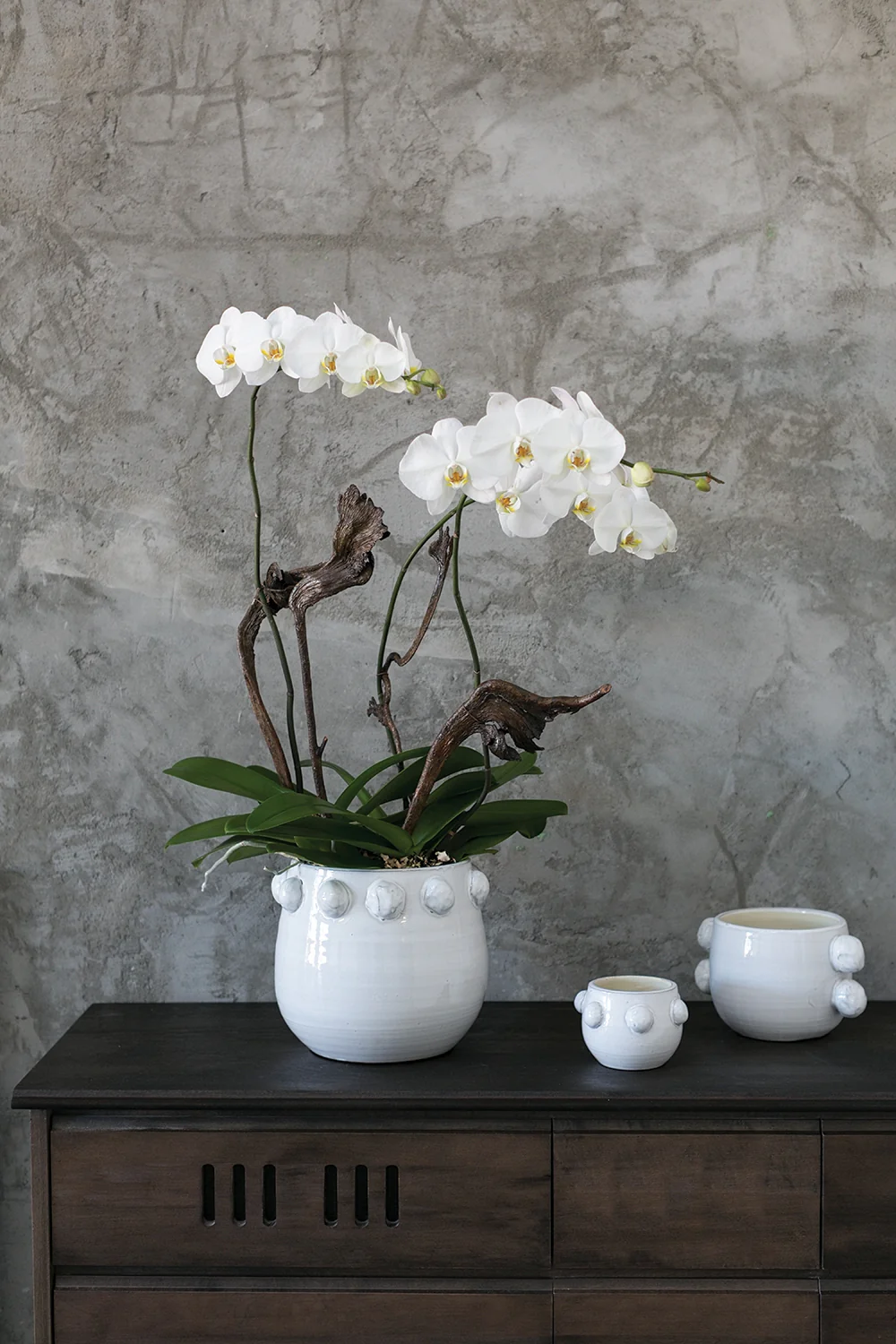 Fem Rosa Ceramic Pot Small