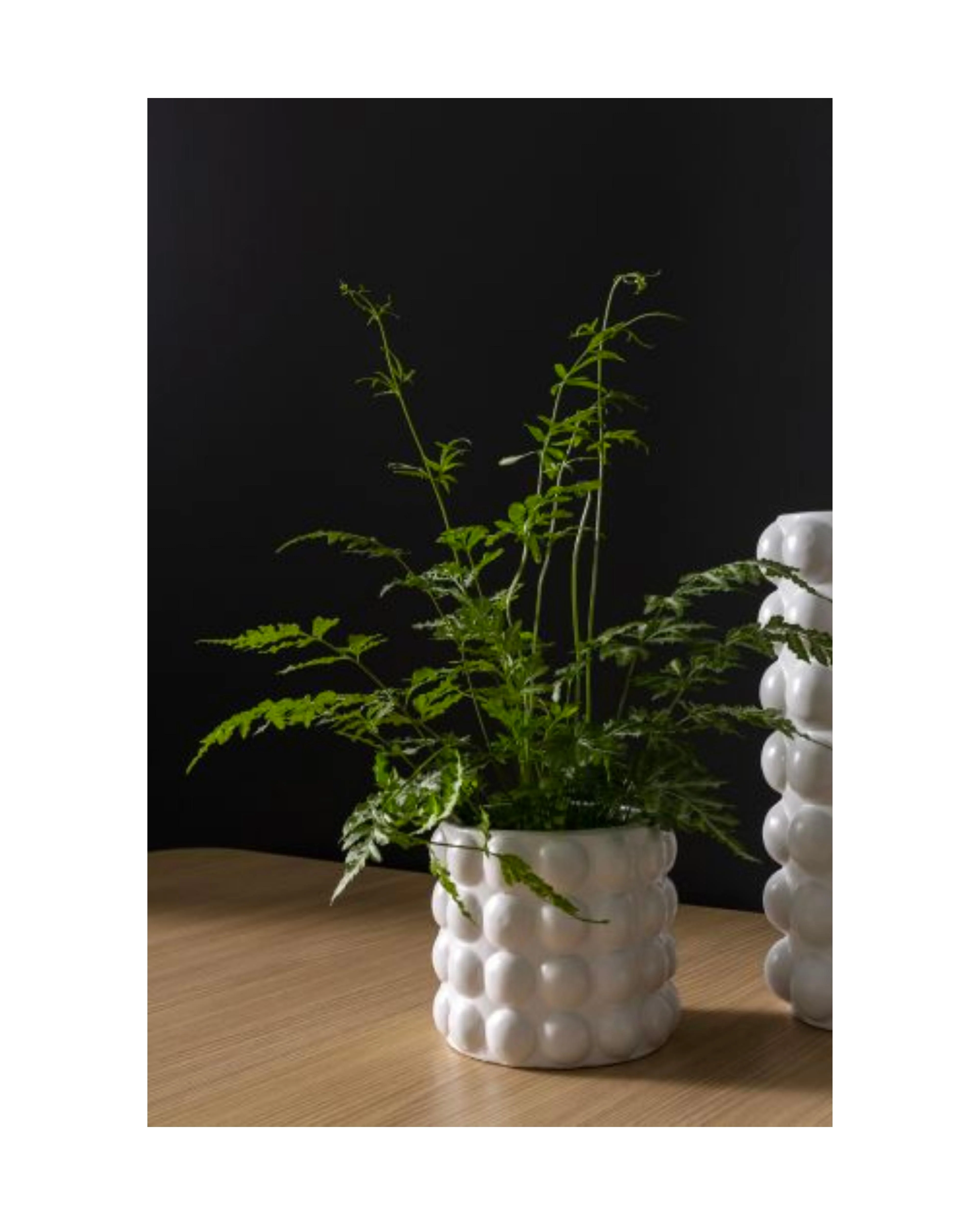 White Ceramic Bubble Pot