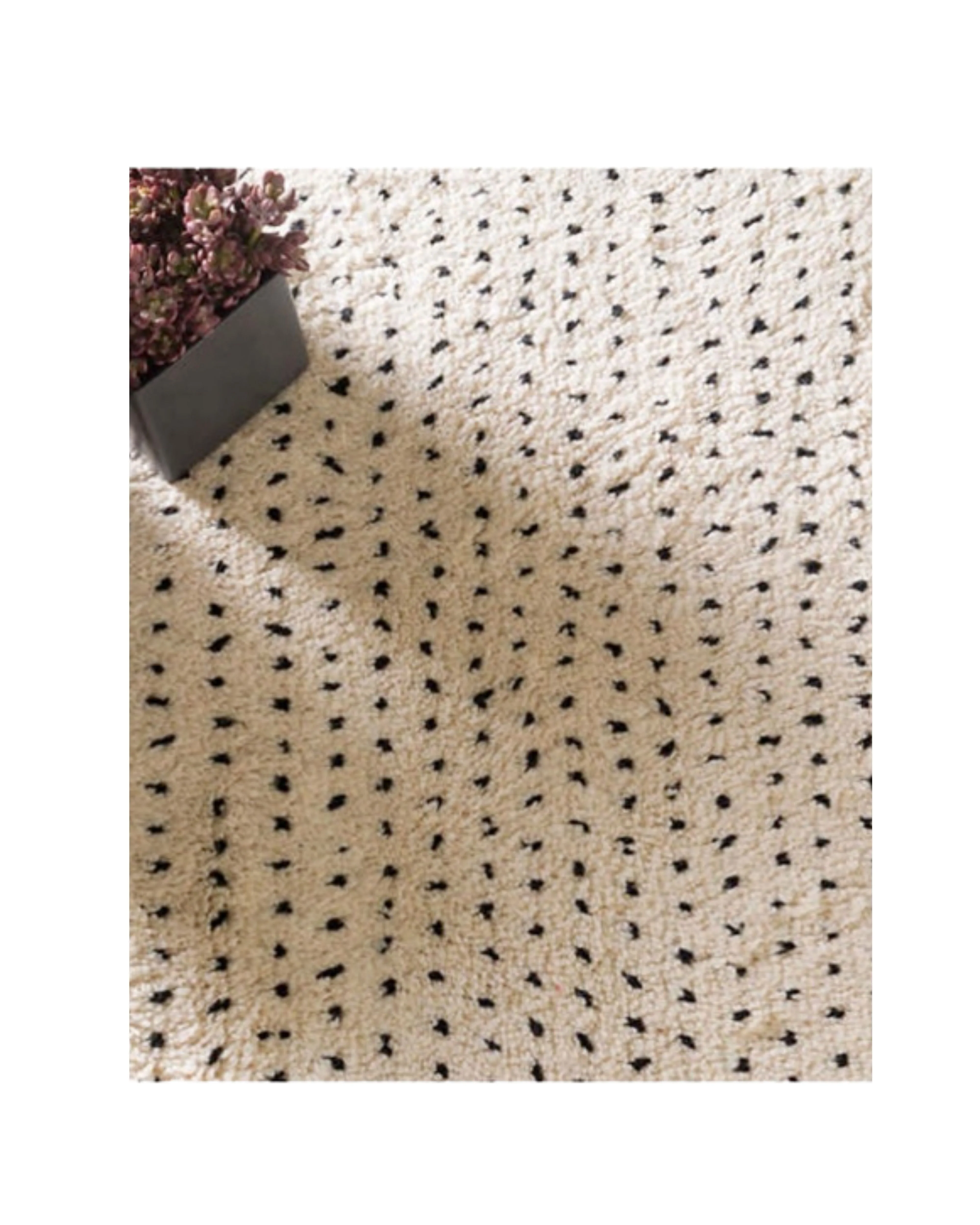 Taza Wool - Cotton Area Rug