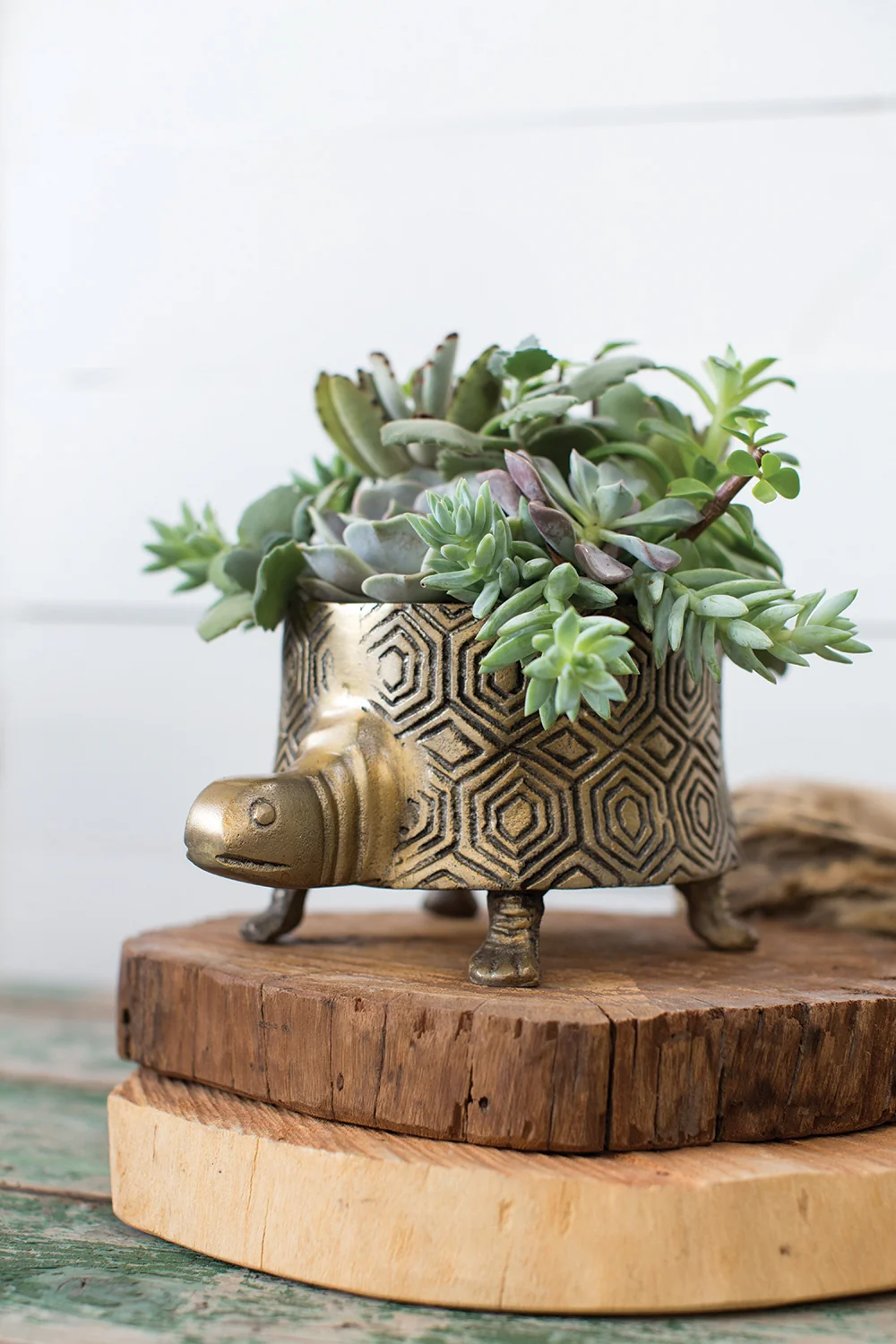 Tommie The Turtle Short Metal Pot