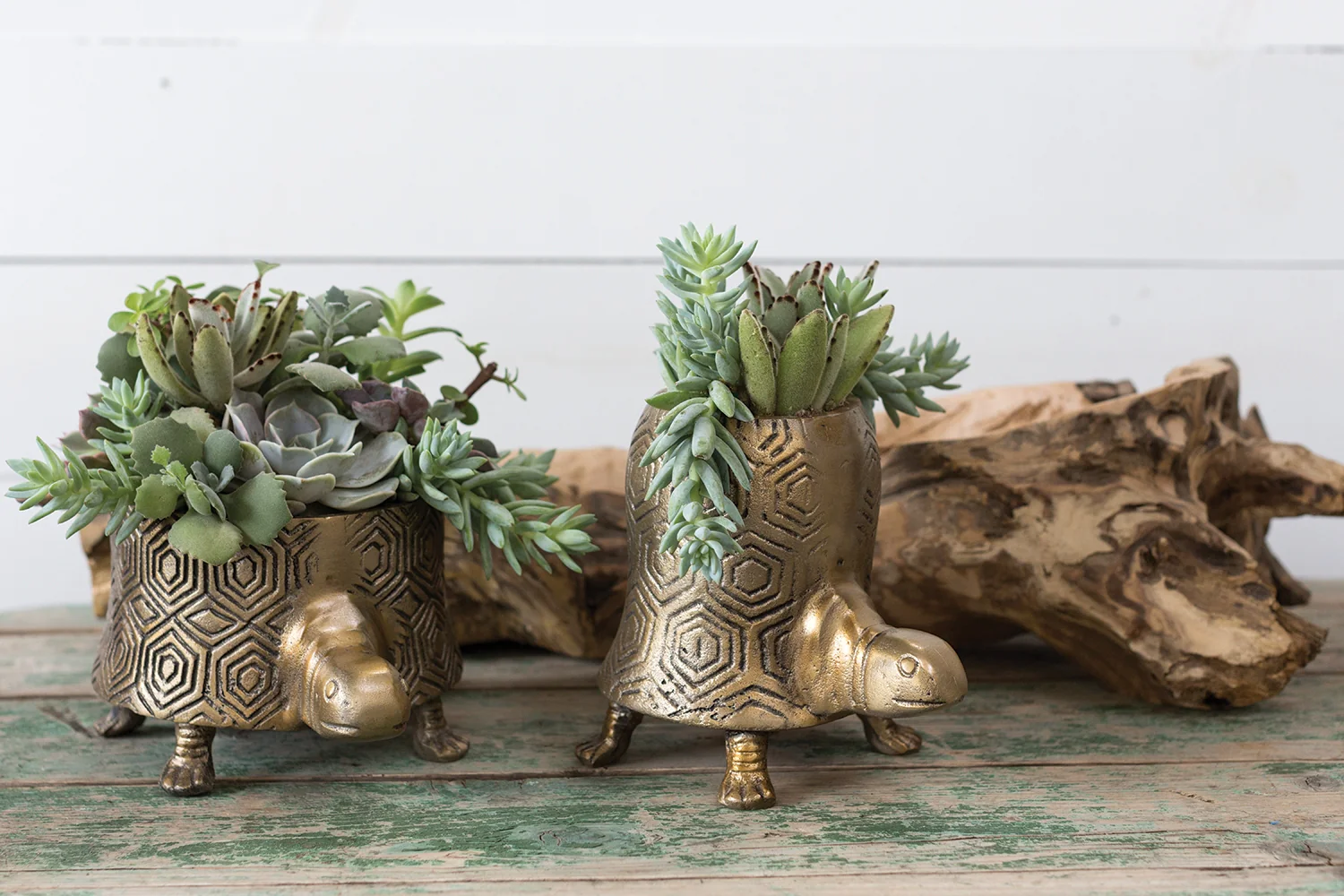 Tommie The Turtle Short Metal Pot