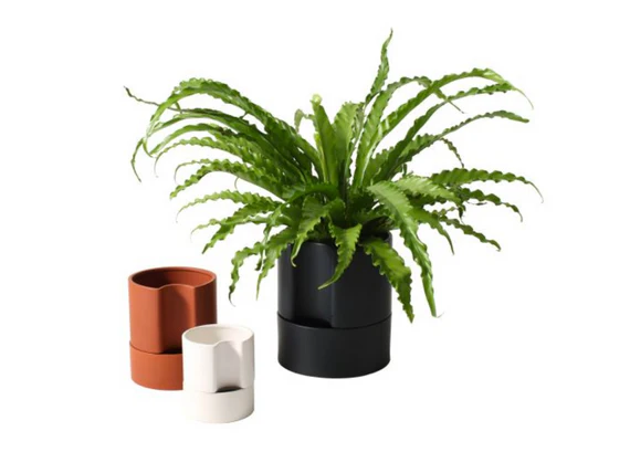Jett Self Watering Black Plant Pot