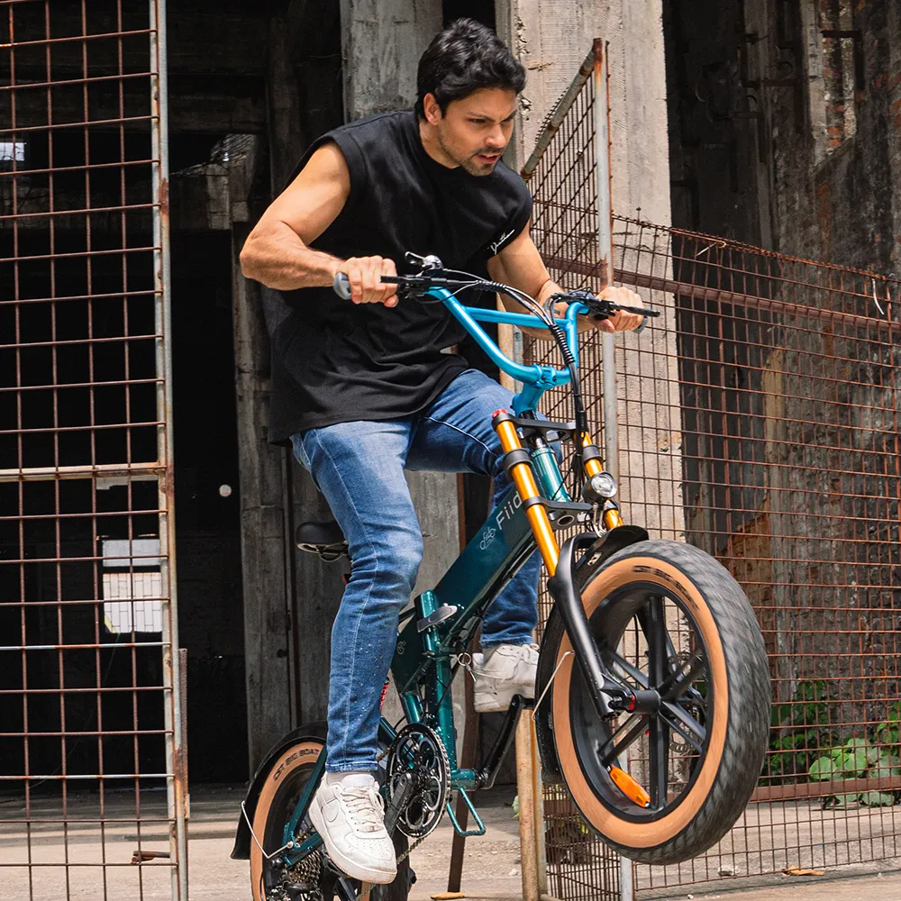 2025 Fiido M1 Pro Bicicleta eléctrica Big Wheel Fatbike