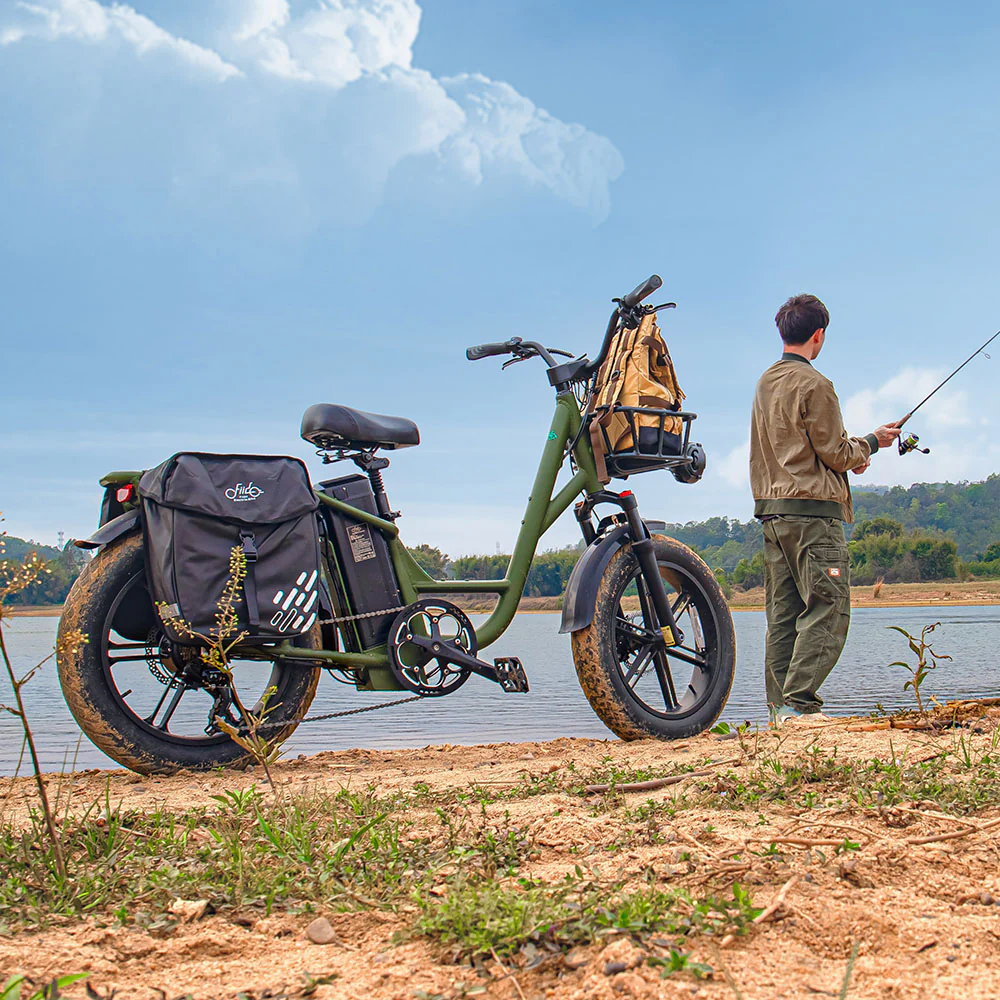 2025 Fiido T1 Pro Cargo Bicicleta eléctrica Fatbike utilitaria