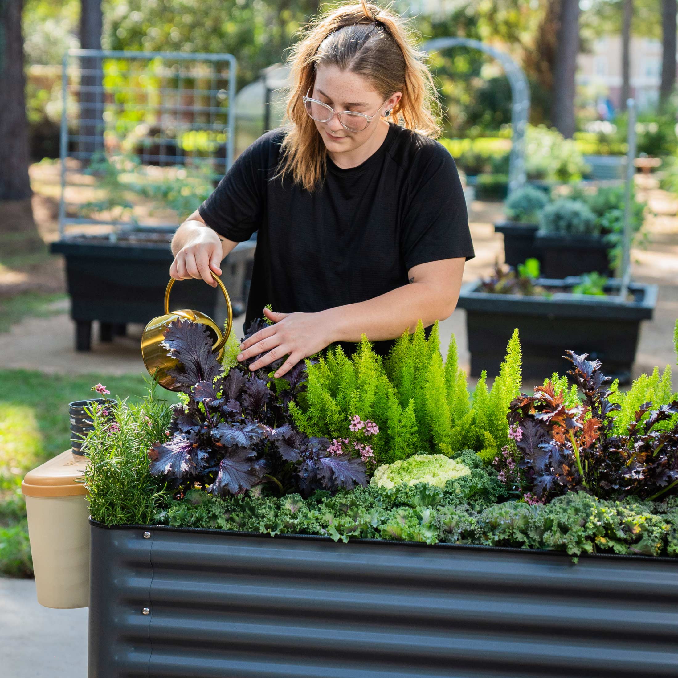 2025 Jardinera elevada – Serie V 2' x 6'