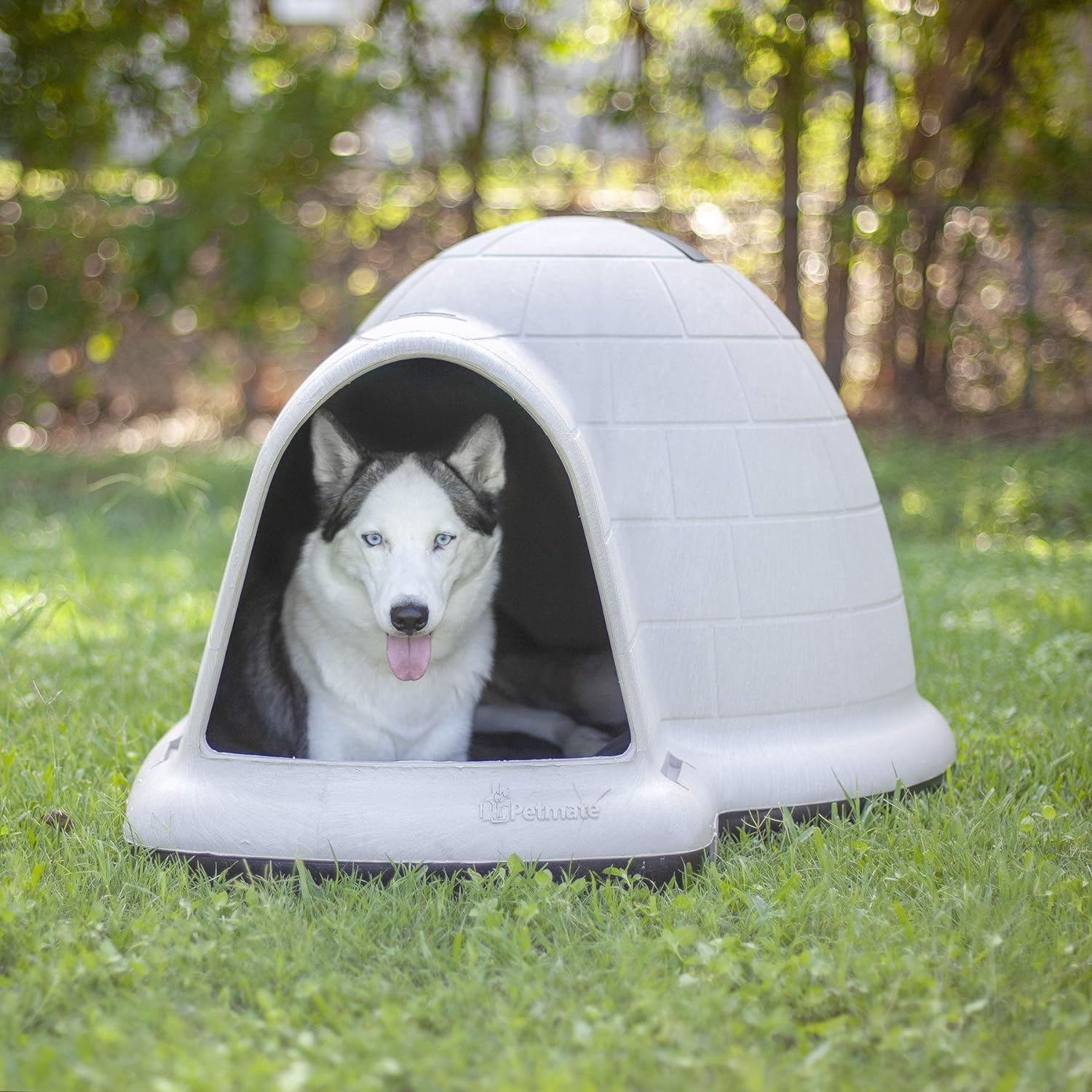 2025 Petmate Indigo Casa para Perros (Casa Tipo Igloo, Hecha en EE. UU. con 90% de Materiales Reciclados, Refugio para Mascotas con Protección para Todo Clima) para Perros Extra Grandes - 90 a 125 libras, Hecha en EE. UU.