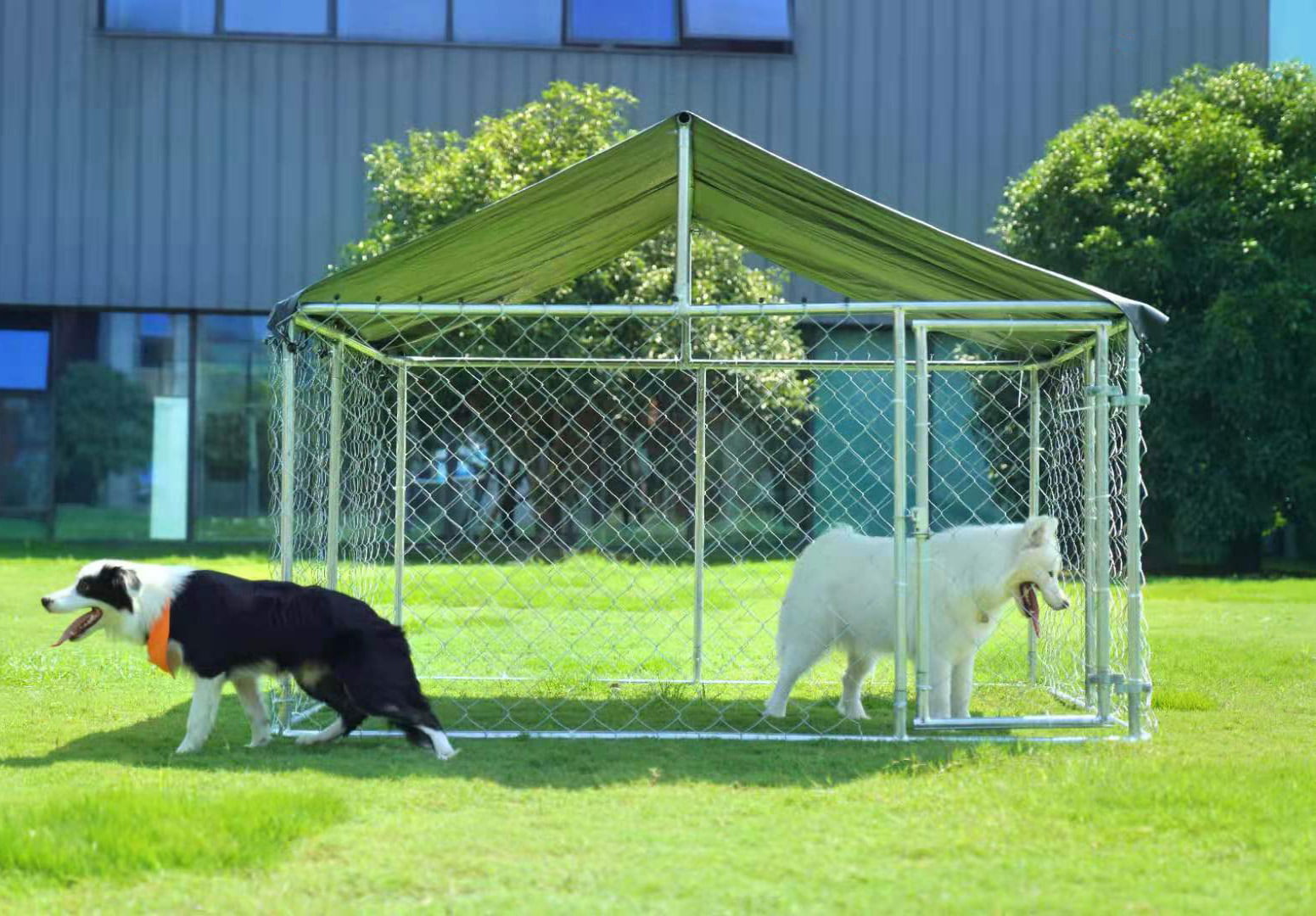 2025 Kennel Exterior para Perros Petony – Jaula, Cercado y Parque para Perros con Malla Galvanizada de Alta Resistencia y Techo Resistente al Agua y Rayos UV