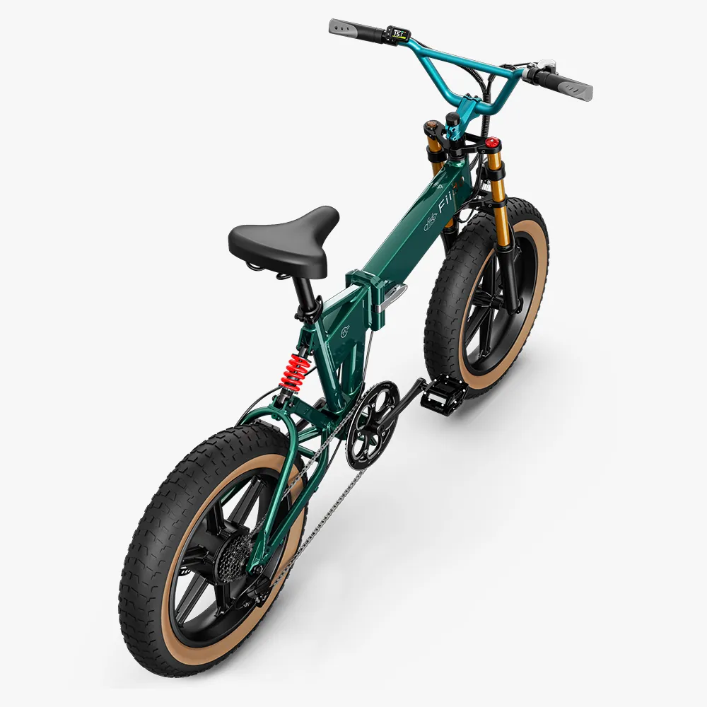 2025 Fiido M1 Pro Bicicleta eléctrica Big Wheel Fatbike