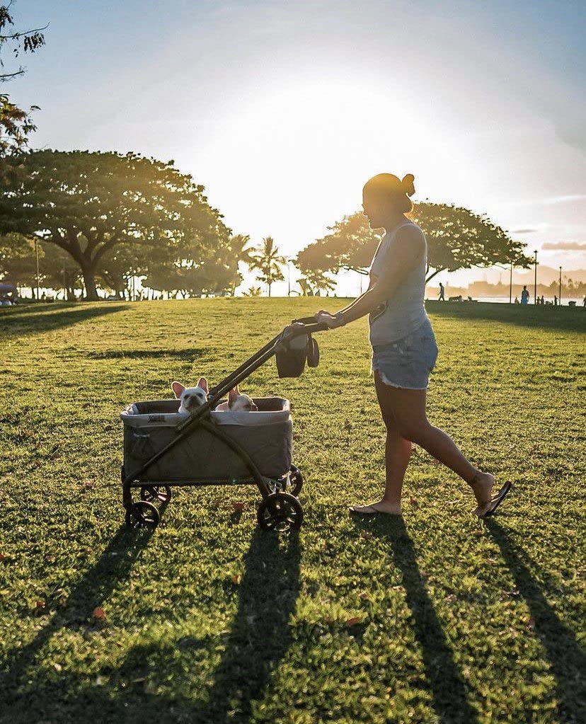 2025 Carro de Paseo Baby Trend Expedition Marine