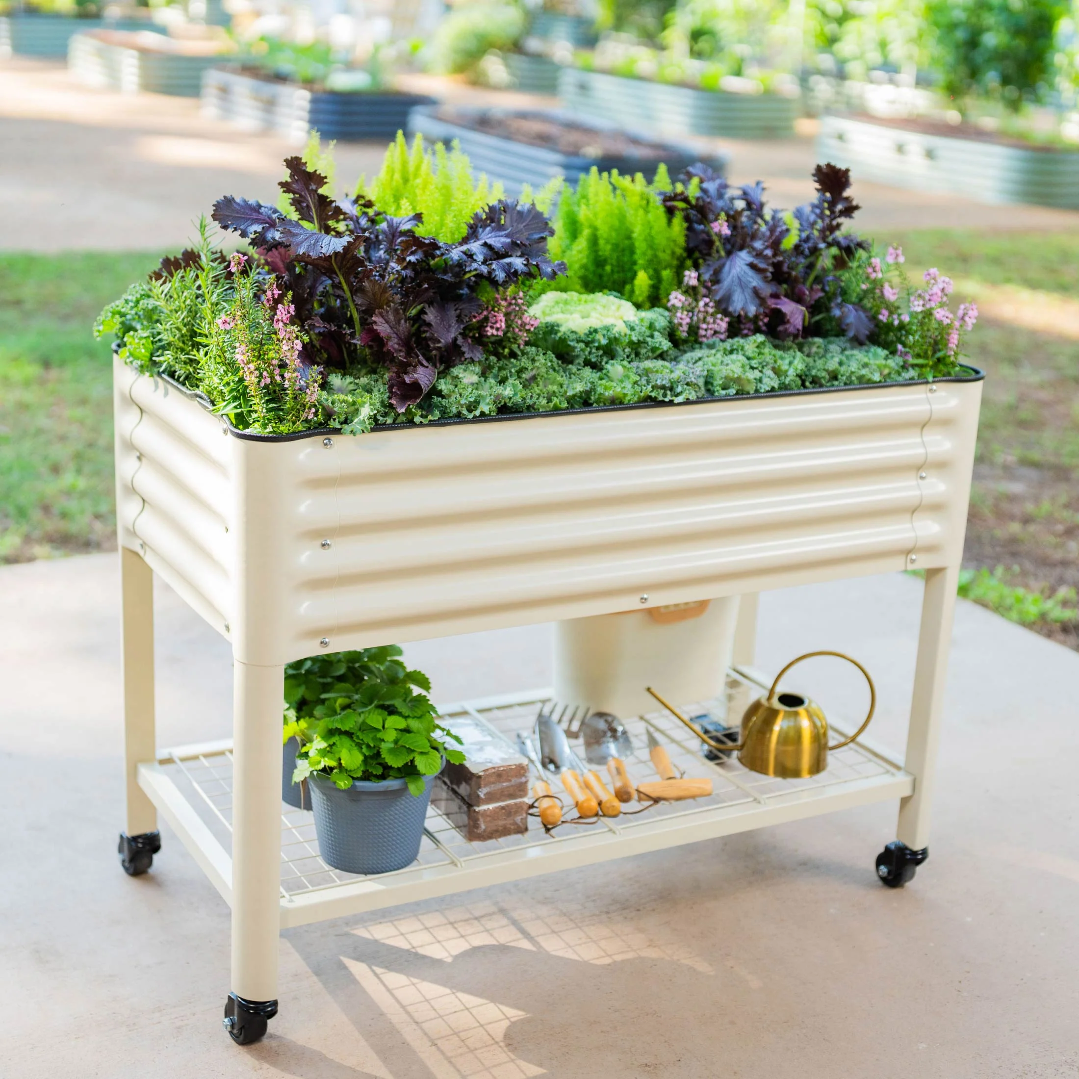 2025 Jardinera elevada – Serie V 2' x 4'