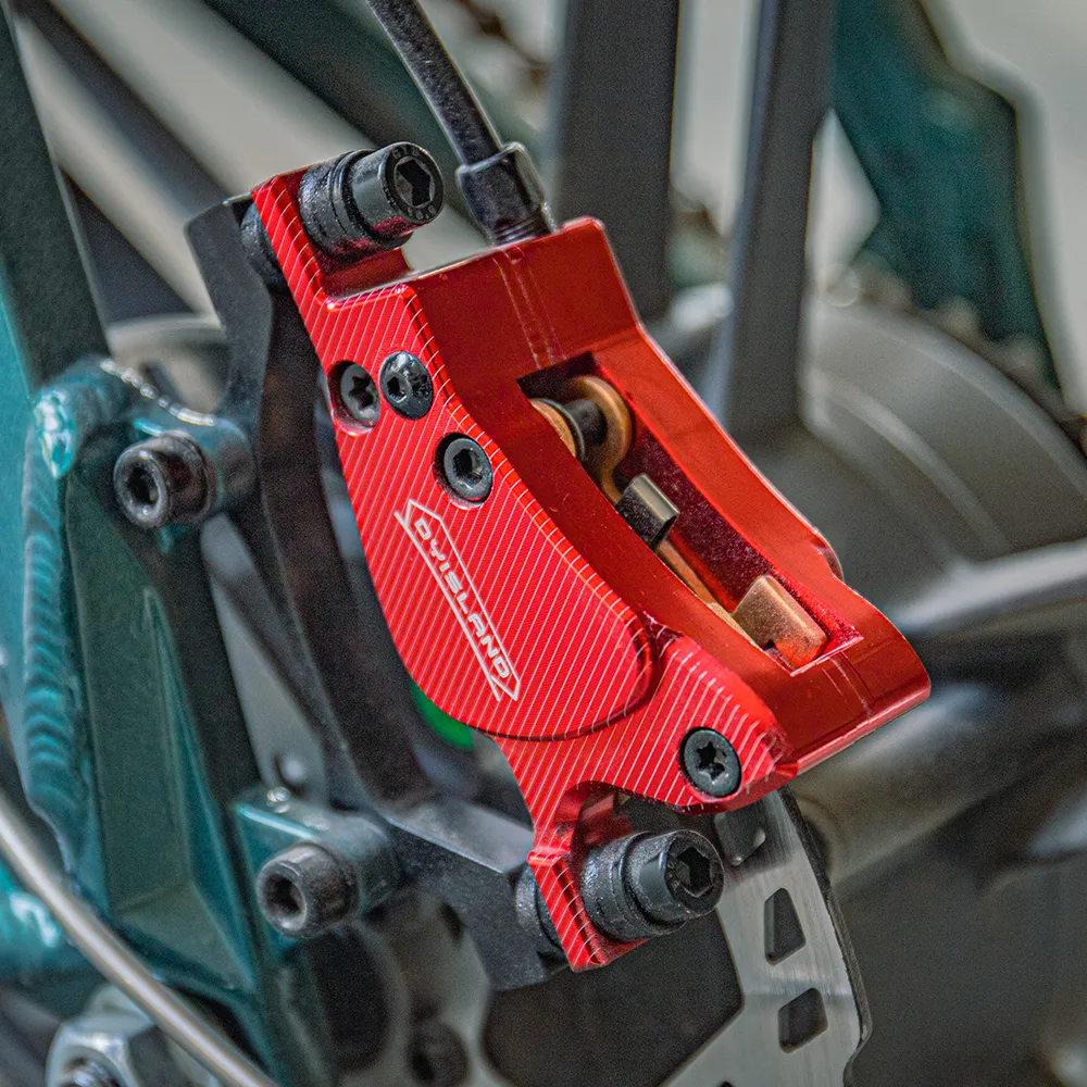 2025 Fiido M1 Pro Bicicleta eléctrica Big Wheel Fatbike