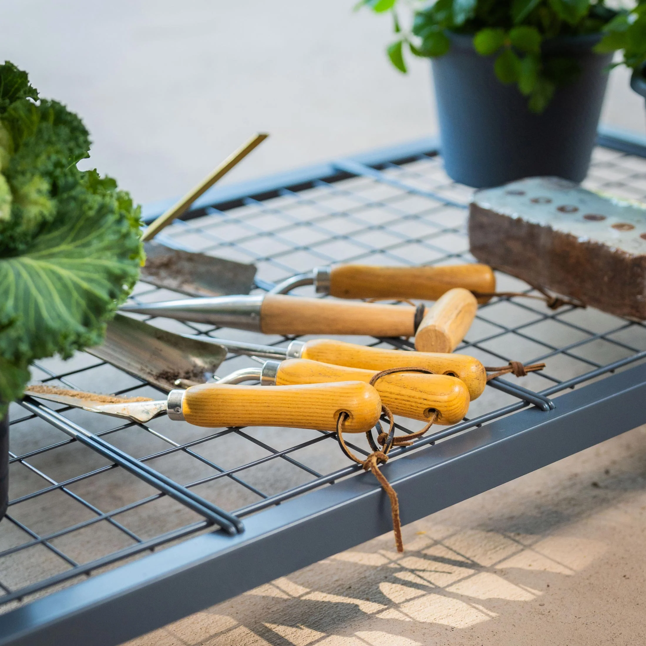 2025 Jardinera elevada – Serie V 2' x 6'