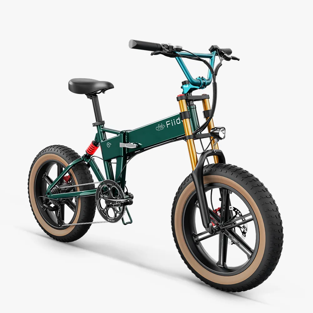 2025 Fiido M1 Pro Bicicleta eléctrica Big Wheel Fatbike