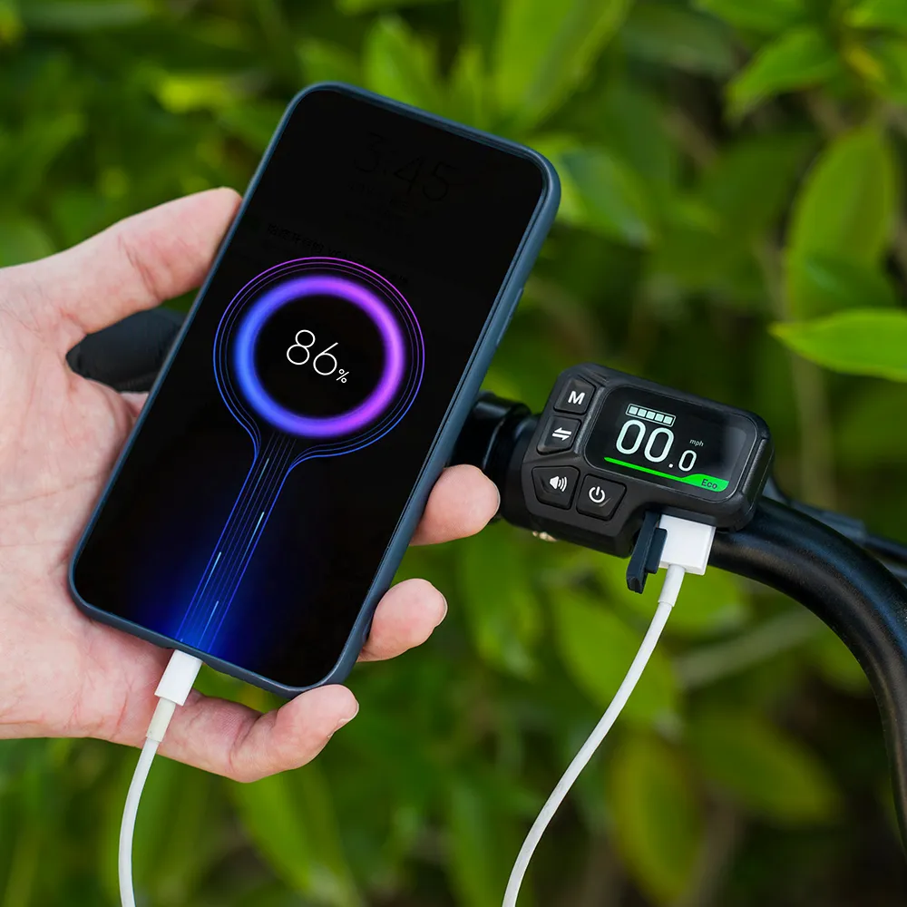 2025 Fiido C11 Bicicleta eléctrica urbana ligera