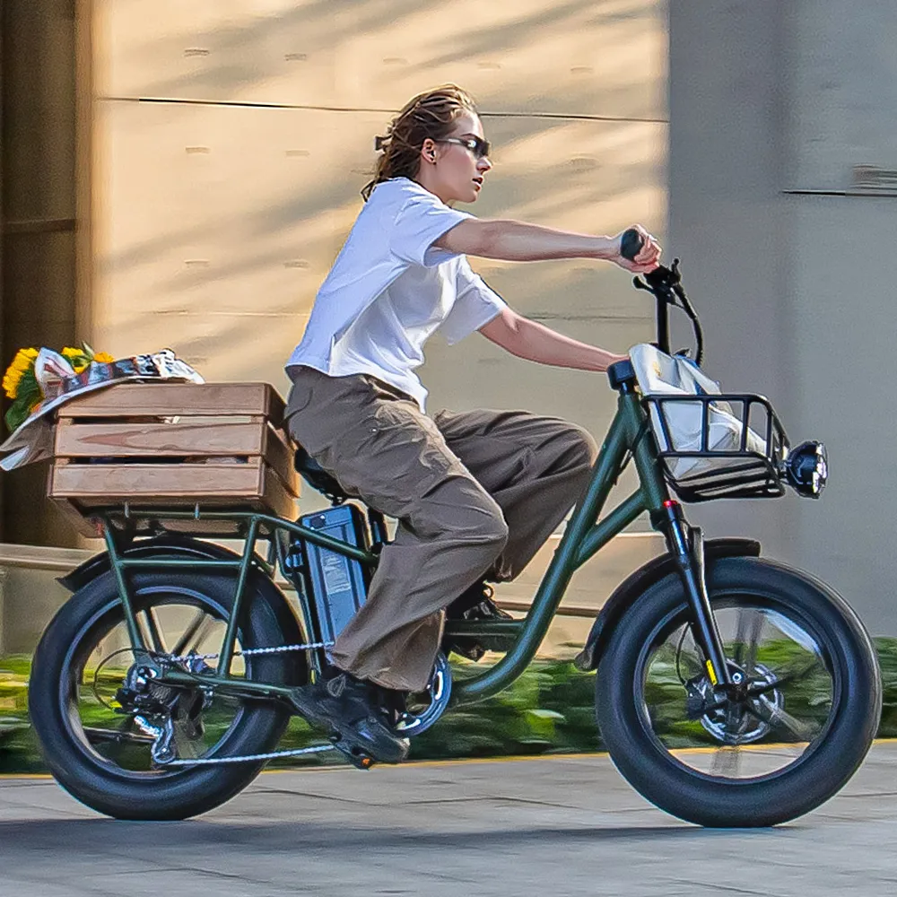 2025 Fiido T1 Pro Cargo Bicicleta eléctrica Fatbike utilitaria