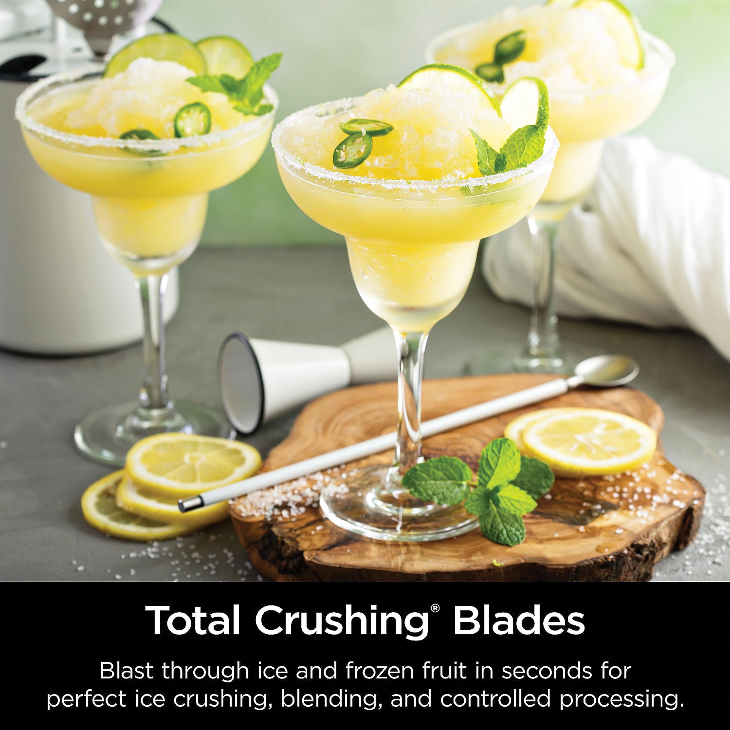 2025 Ninja Professional Licuadora de Mostrador BL660, 1100 Watts, Gris