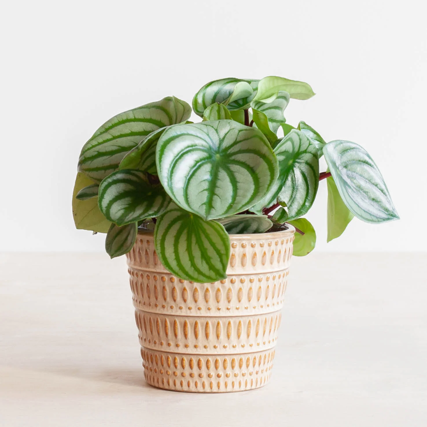 Keramik Übertopf Elba