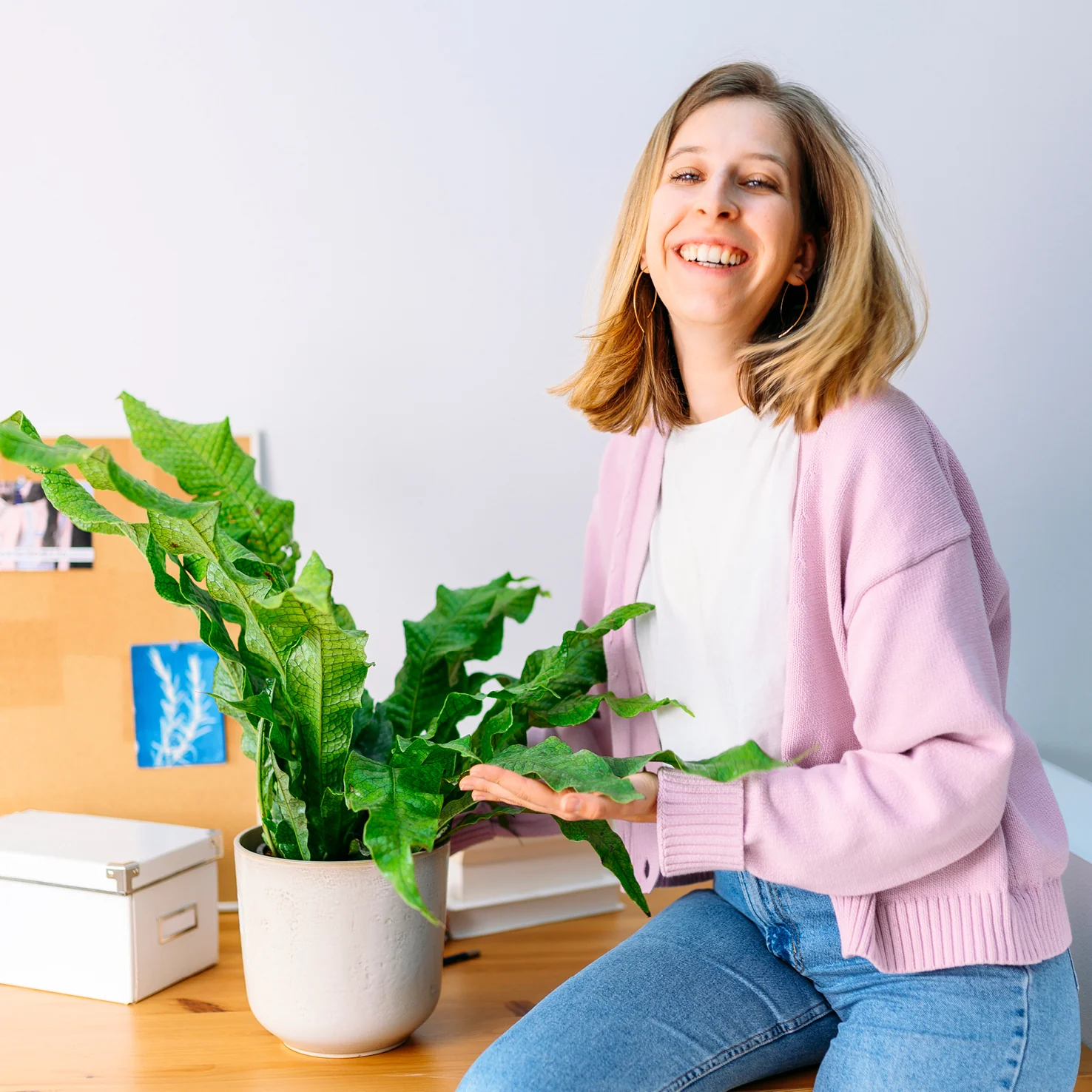 Krokodilfarn 'Crocodyllus'