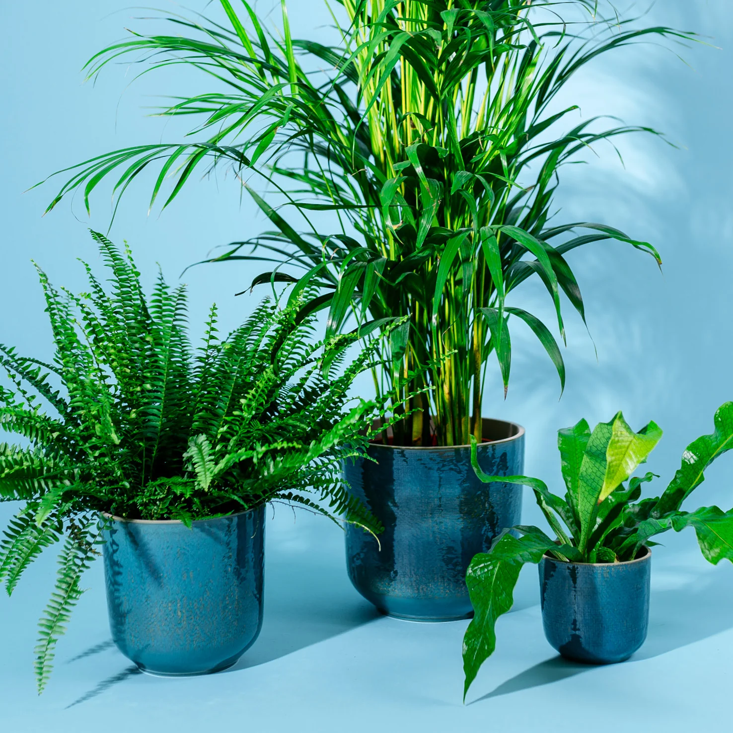 Keramik Übertopf Petrol für Zimmerpflanzen