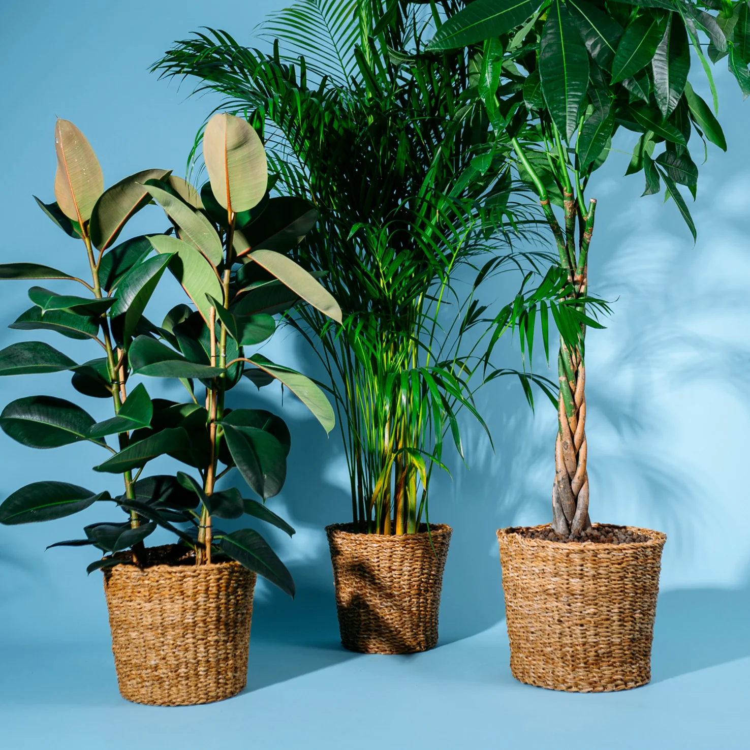 Übertopf aus Seegras XXL