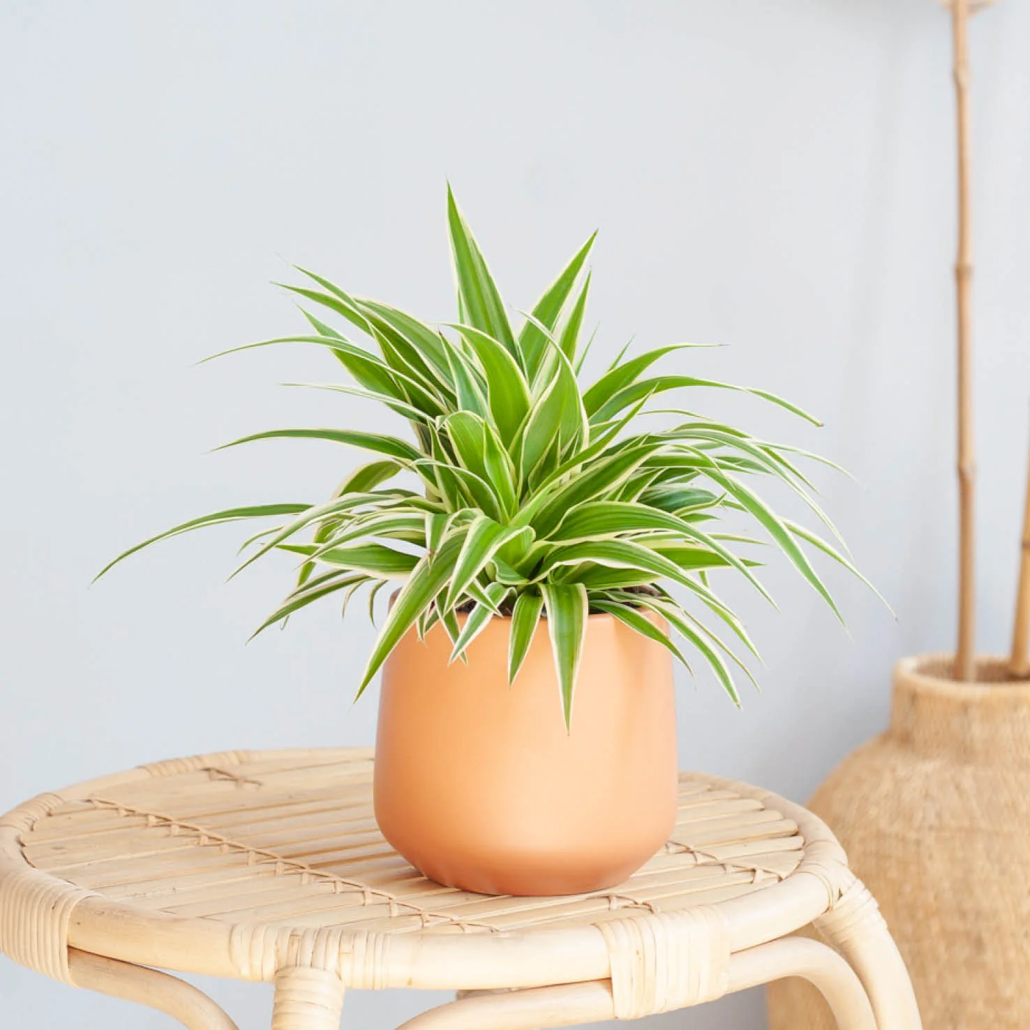 Keramik Übertopf Madeira