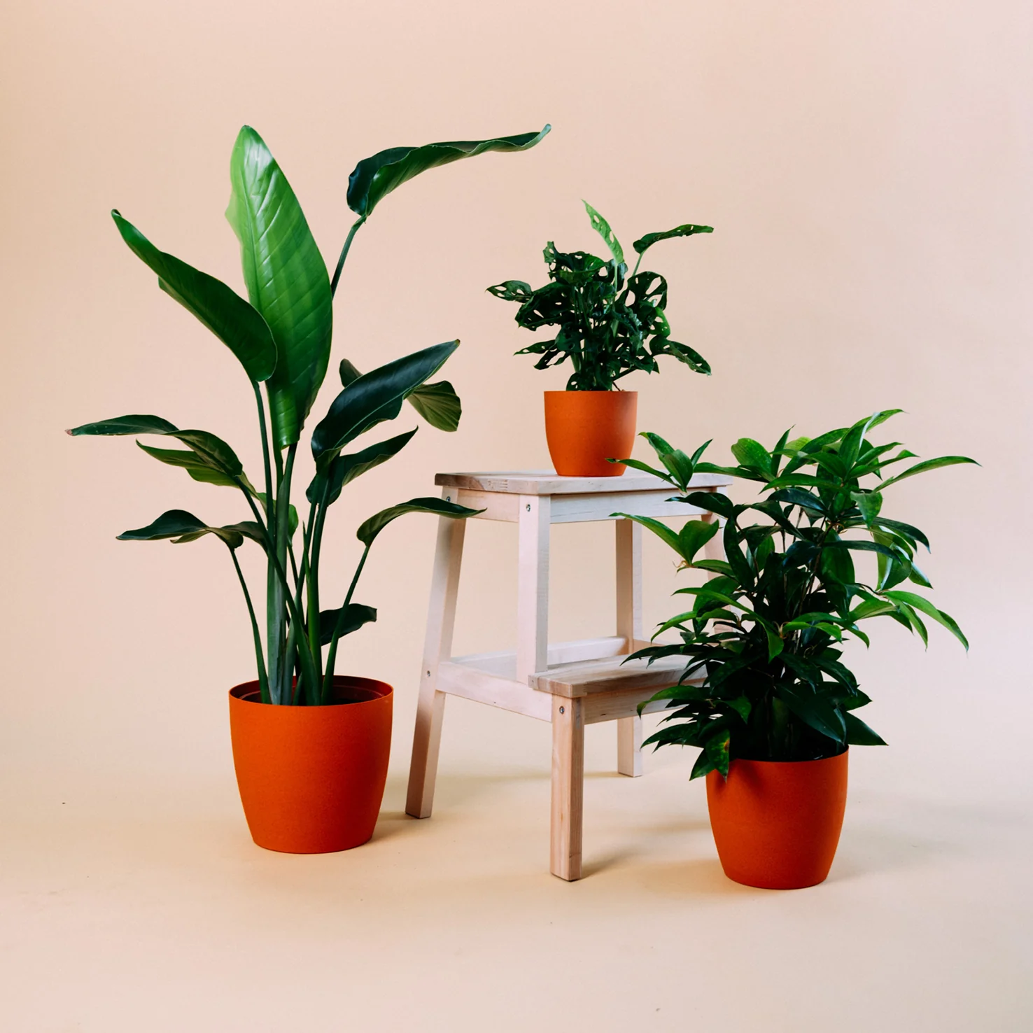 Übertopf Terracotta aus Bio-Faser