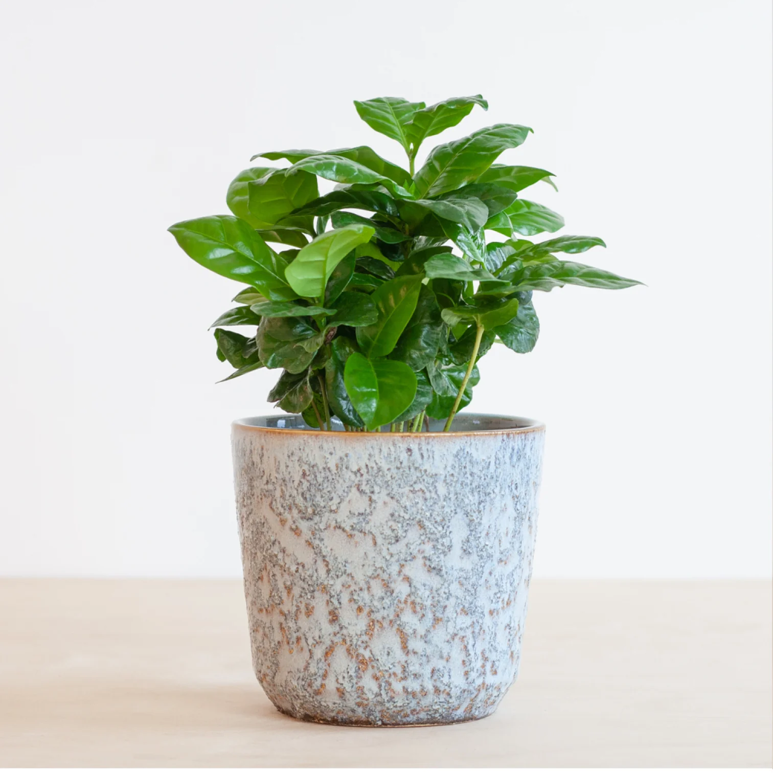 Keramik Übertopf Kreta