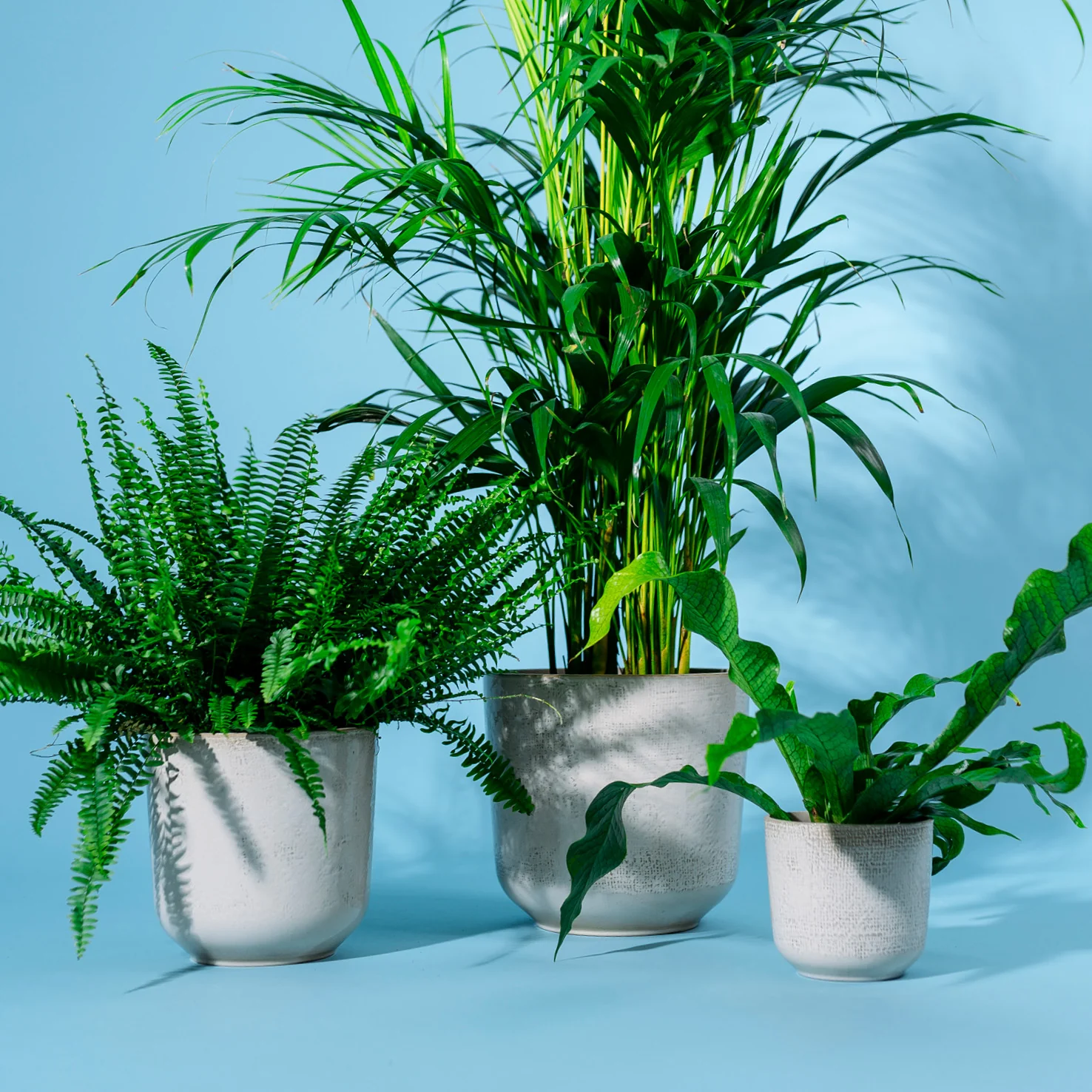 Keramik Übertopf Sand für Zimmerpflanzen