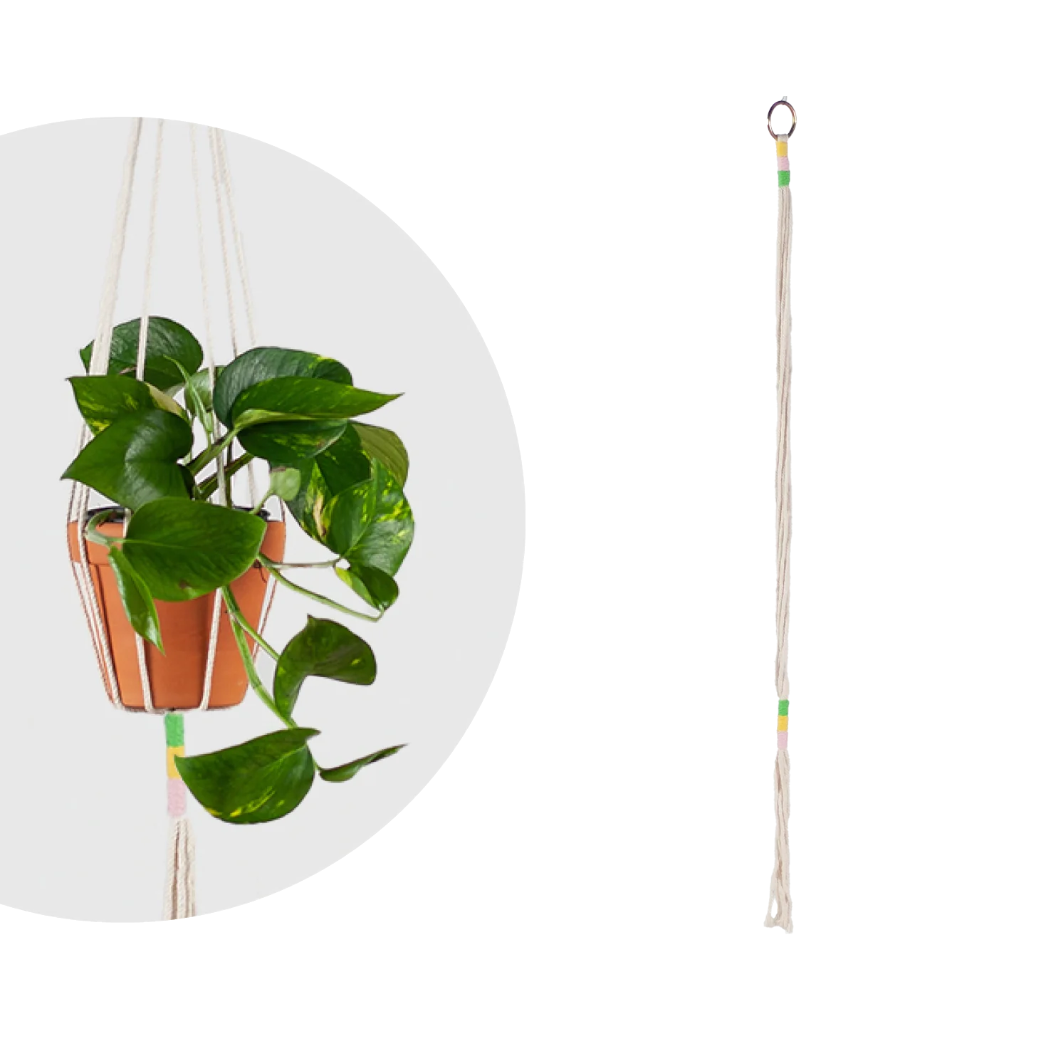 Makramee Blumenampel für 12 cm Töpfe