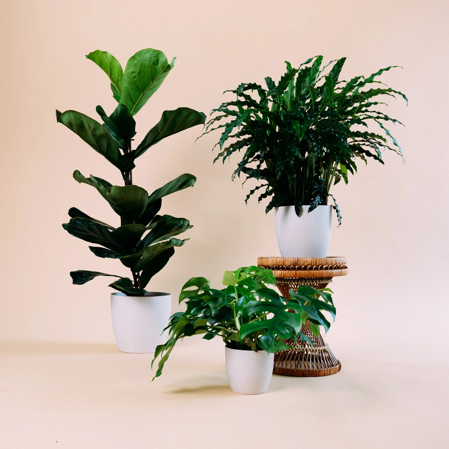 Übertopf Natur aus Bio-Faser