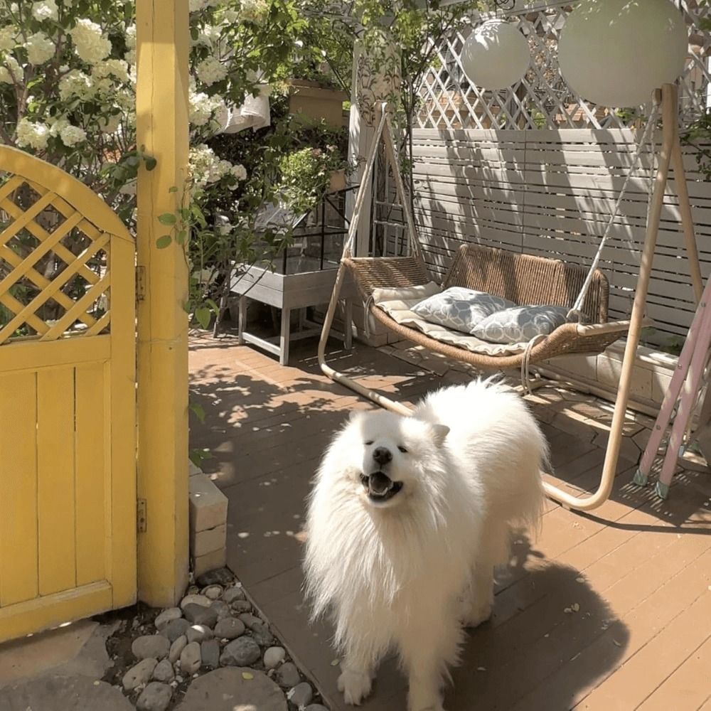 2-Seat Cloud Swing Chair with Cushions and Pillows – Khaki Frame with Purple Leaf Cushions