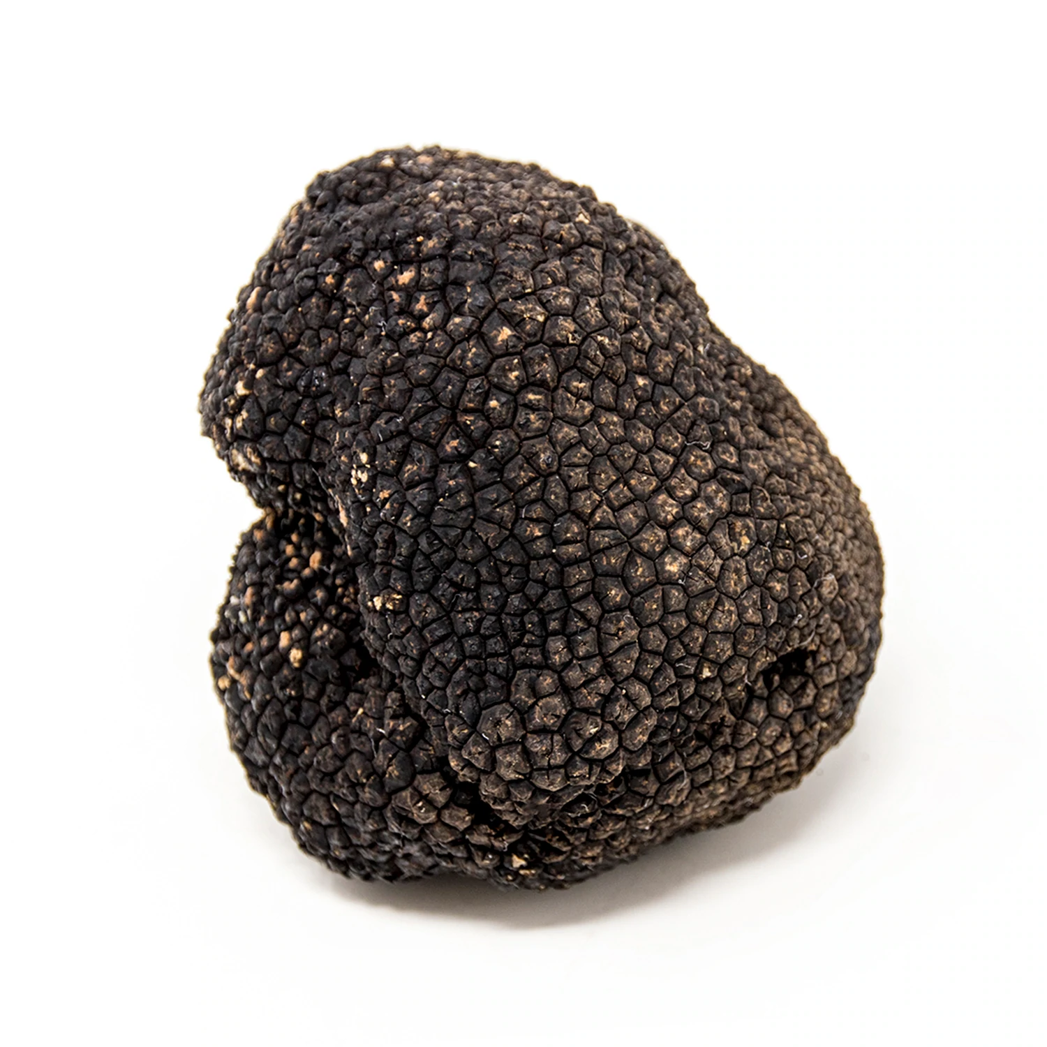 Fresh Summer Truffle – Tuber Aestivum 100gr Net
