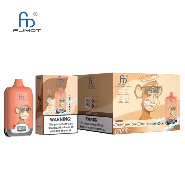 RANDM FUMOT Digital Box 12000 puffs LED Screen Top Selling Disposable Vape - Vapo247