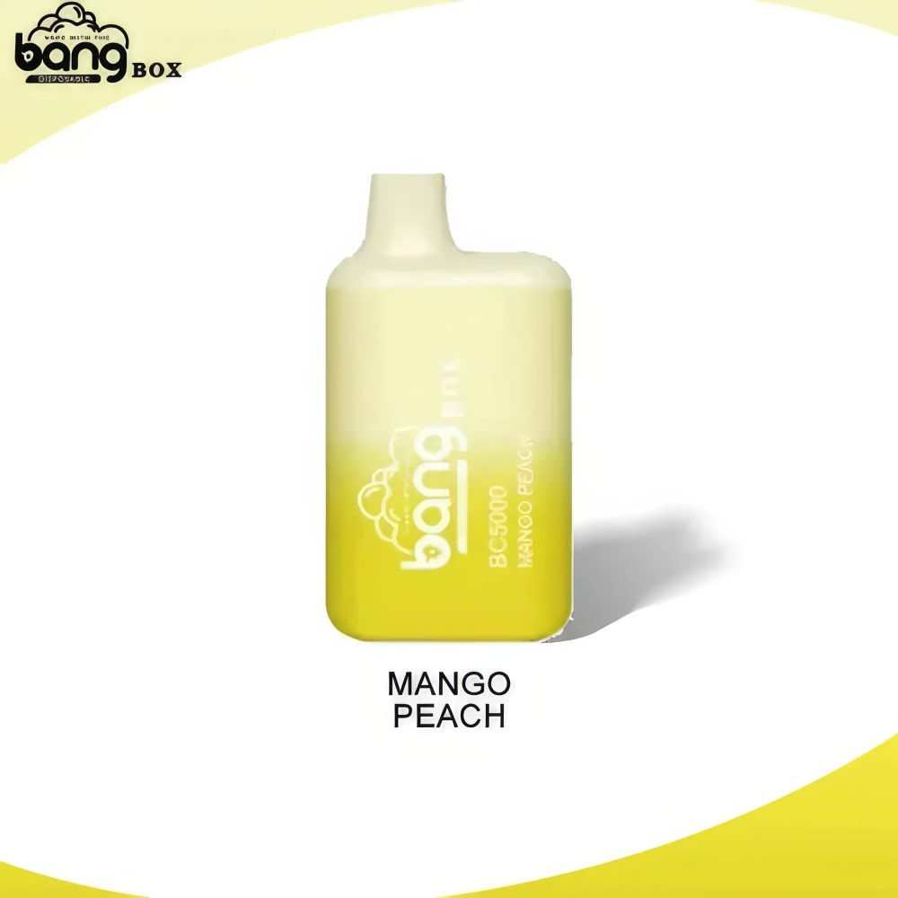 Bang BC 5000 Puffs 52g Compact Mini Disposable Vape Pen - Vapo247