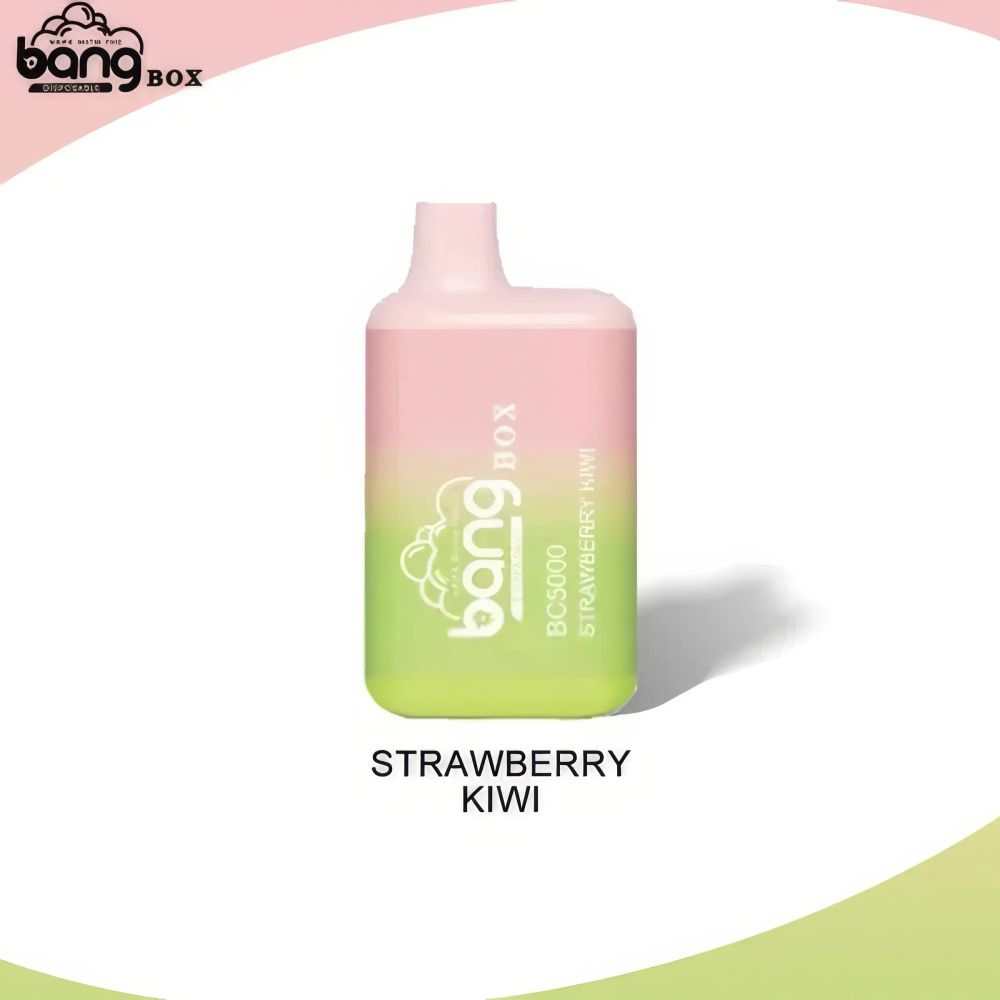 Bang BC 5000 Puffs 52g Compact Mini Disposable Vape Pen - Vapo247