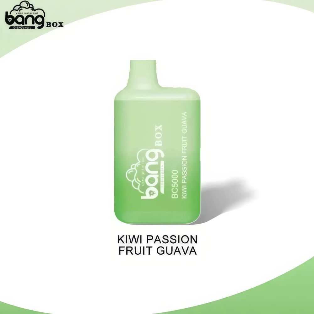 Bang BC 5000 Puffs 52g Compact Mini Disposable Vape Pen - Vapo247