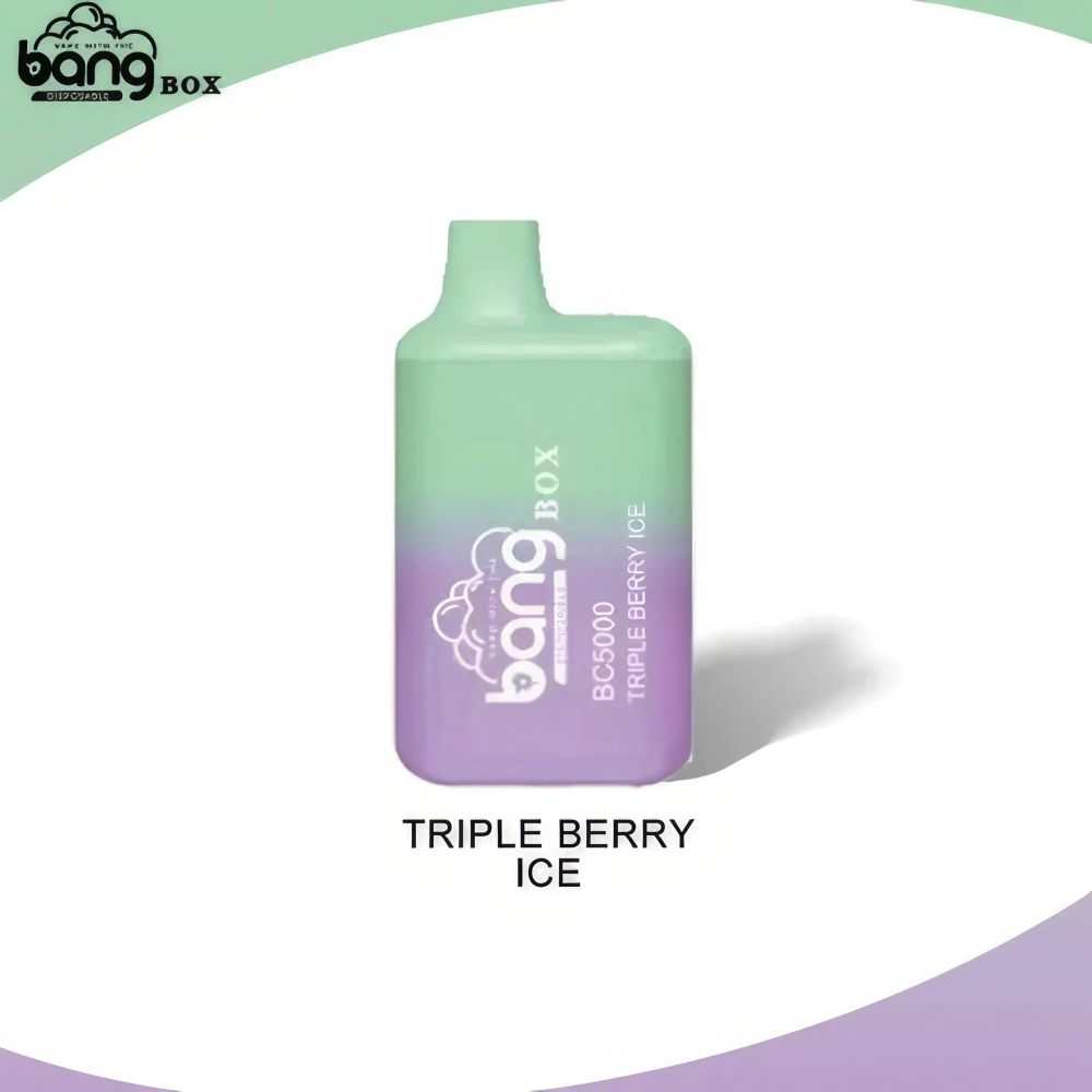Bang BC 5000 Puffs 52g Compact Mini Disposable Vape Pen - Vapo247