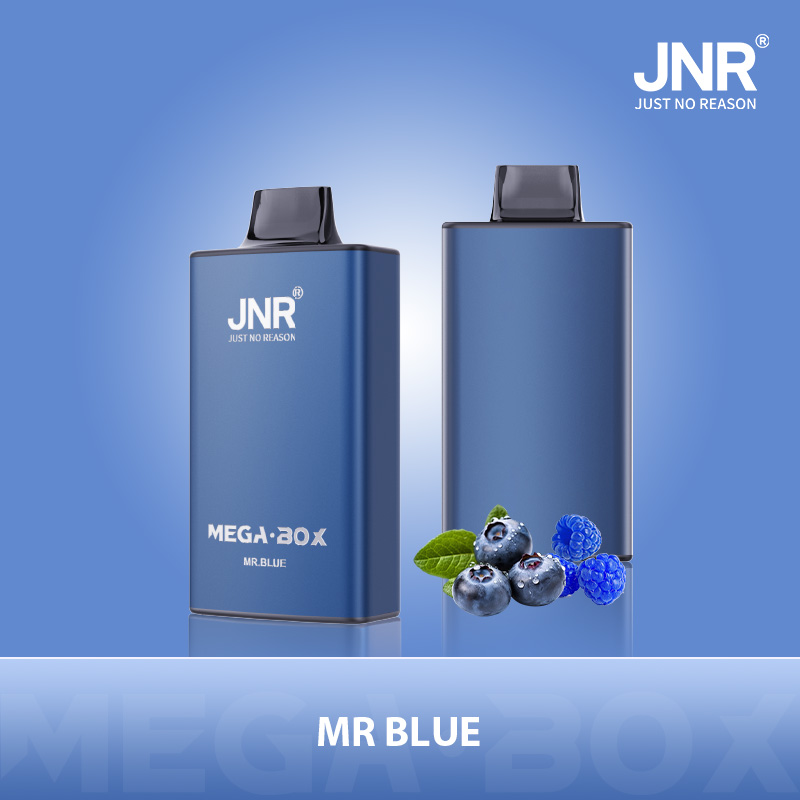 JNR Mega Box 25000 Puffs 3D Texture 2%5% Nicotine disposable vape - Vapo247