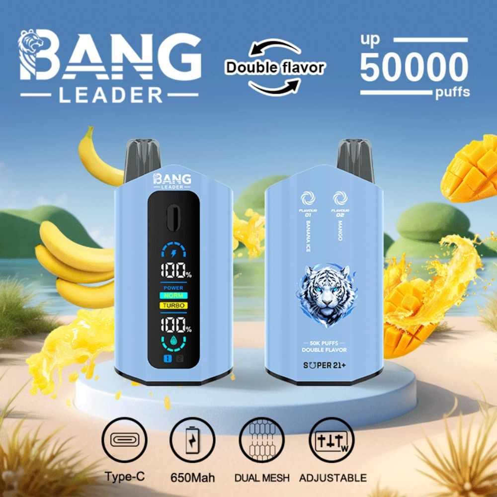 Bang Leader 50000 Puffs Customized Airflow| Double Flavors| LCD Screen Disposable Vape - Vapo247