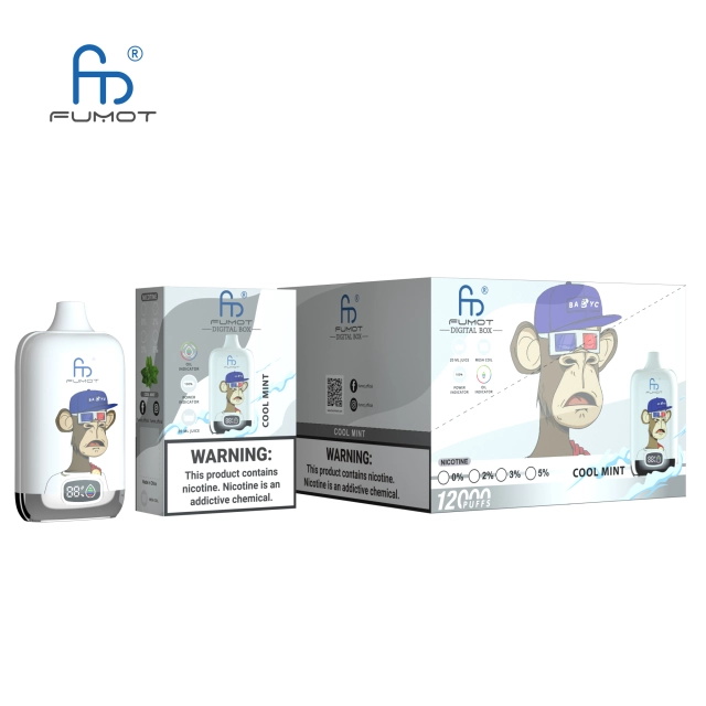 RANDM FUMOT Digital Box 12000 puffs LED Screen Top Selling Disposable Vape - Vapo247