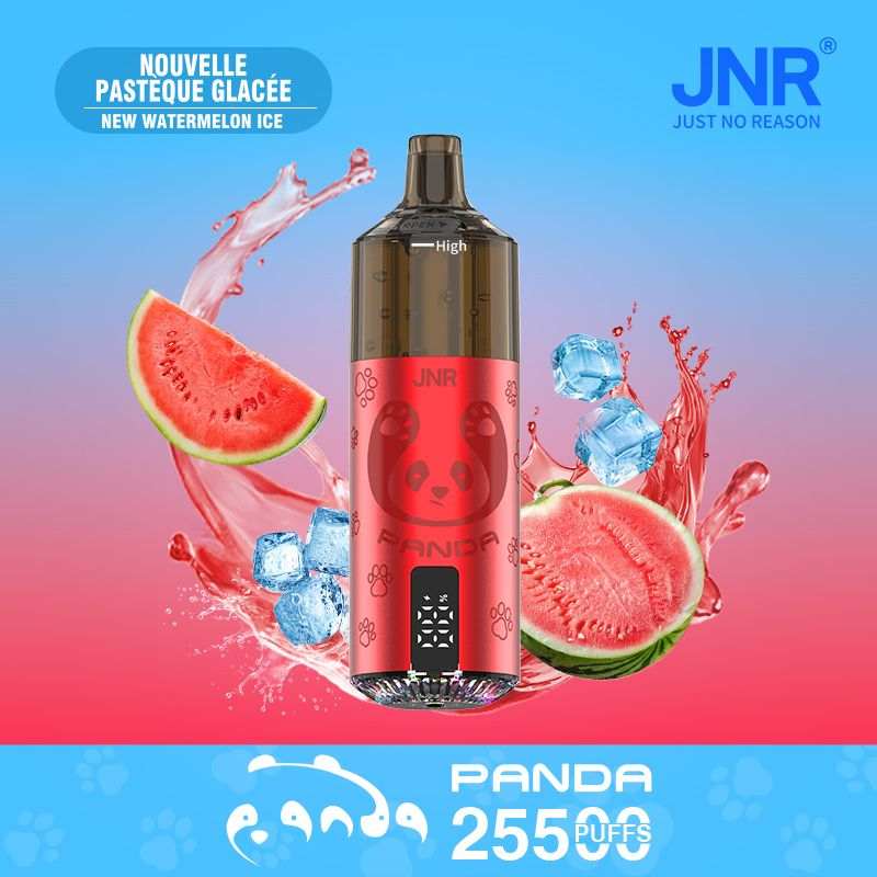 JNR Panda 25500 Puffs Disposable Vape |  Long-lasting pod vape  | replaceable dual mesh pods |  850mAh battery - Vapo247
