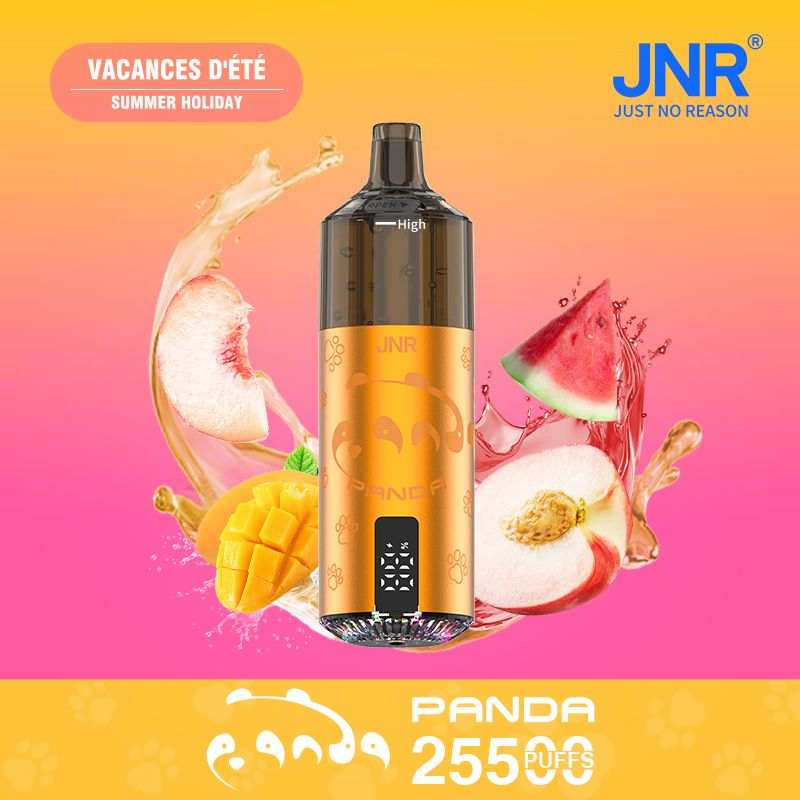 JNR Panda 25500 Puffs Disposable Vape |  Long-lasting pod vape  | replaceable dual mesh pods |  850mAh battery - Vapo247