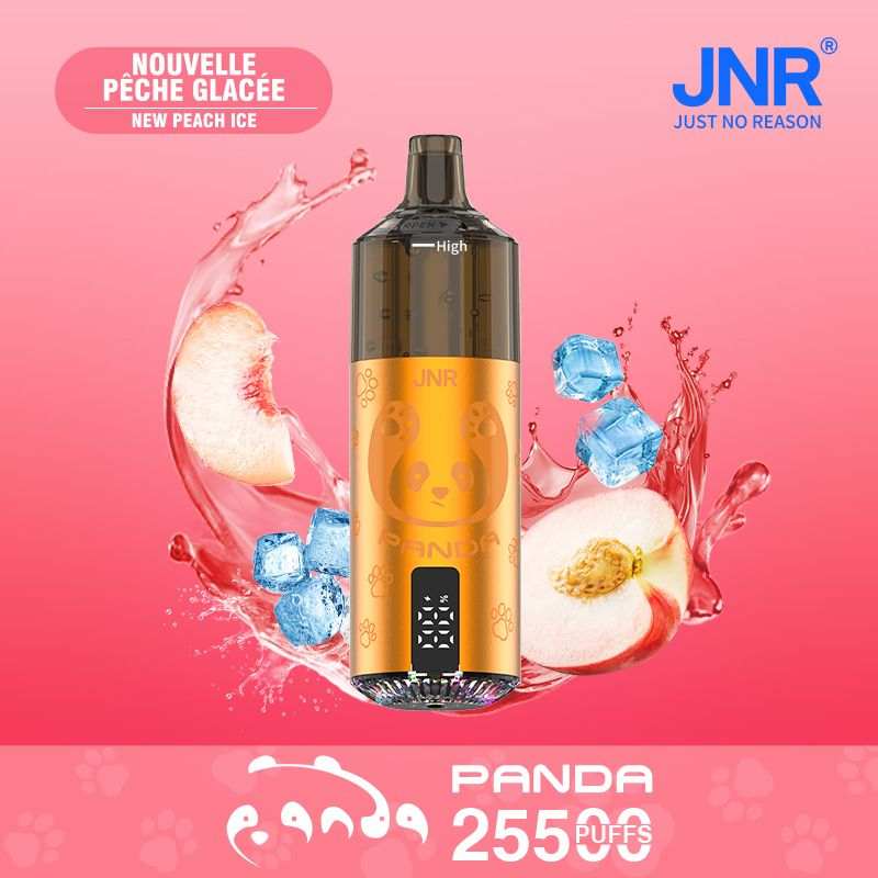 JNR Panda 25500 Puffs Disposable Vape Long-lasting pod vape with replaceable dual mesh pods, 850mAh battery - Vapo247