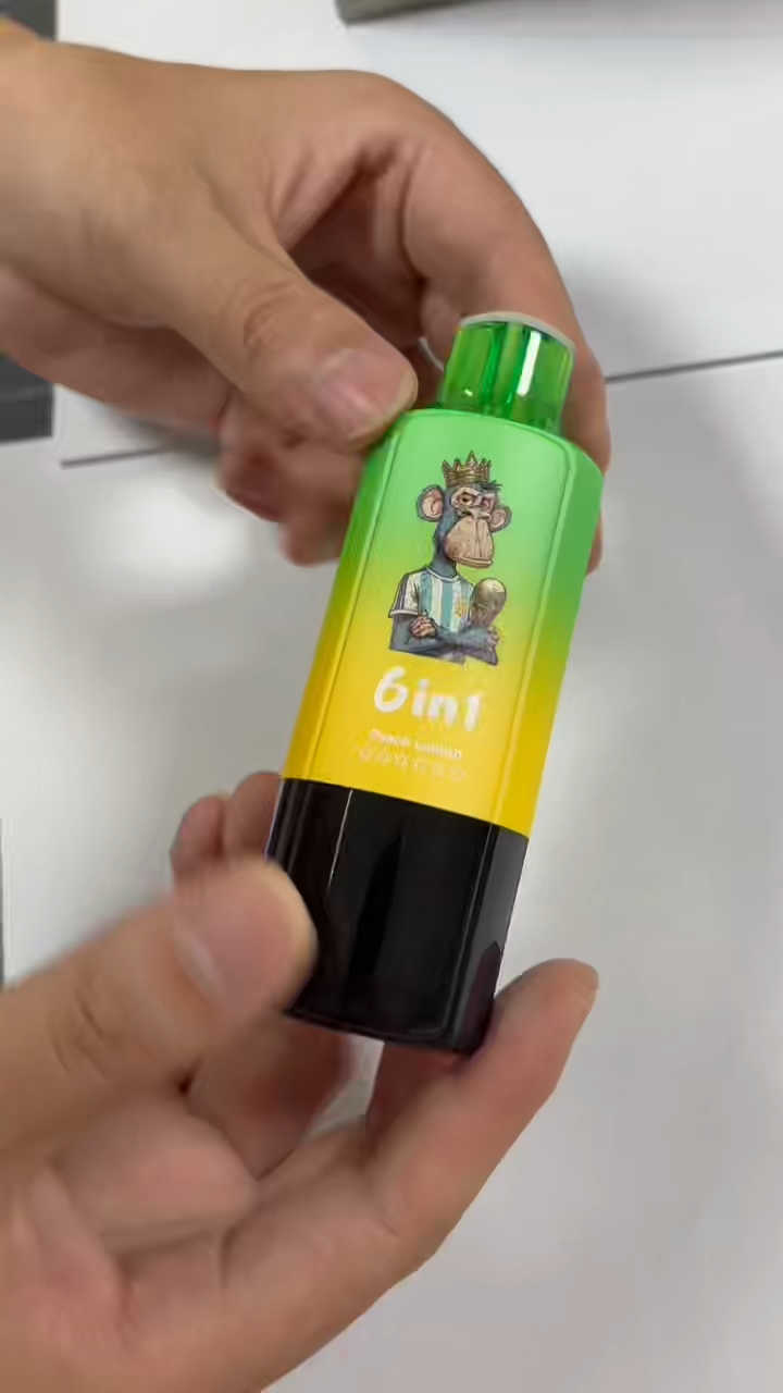 Bang Leader 110K Puffs 6-in-1 flavors dual mesh coil LED Screen Display Disposable Vape - Vapo247