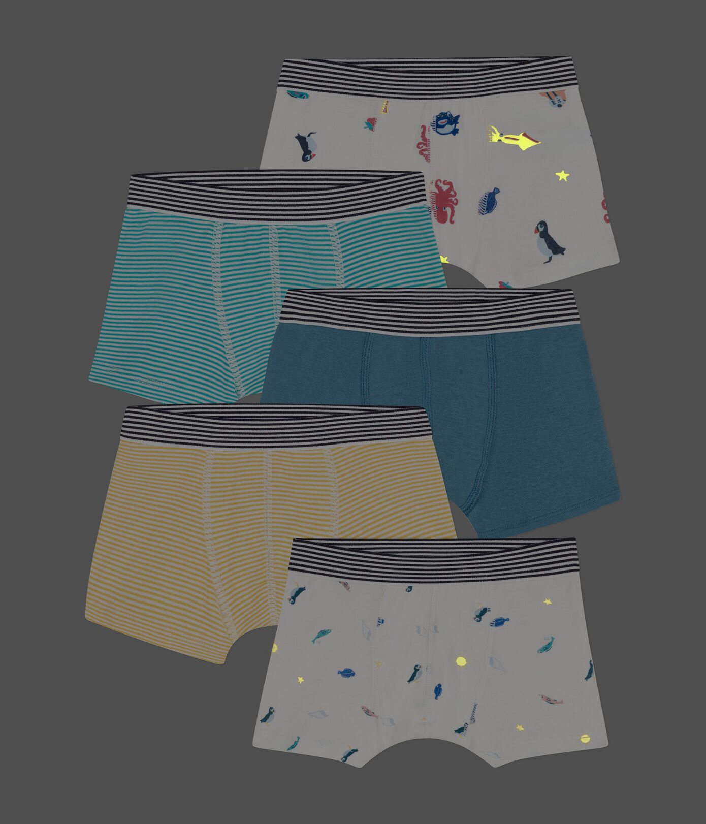 Lot de 5 boxers en coton petit garon