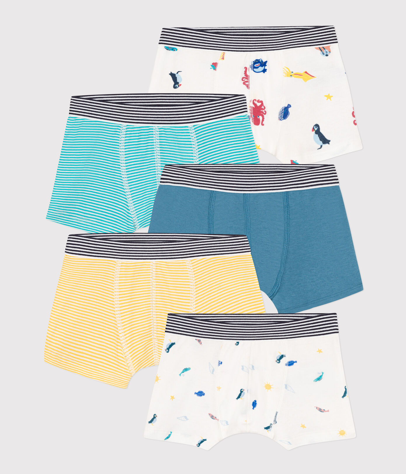 Lot de 5 boxers en coton petit garon