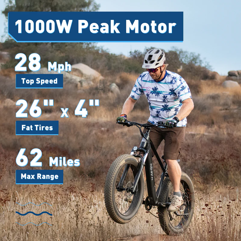 Sky P6 Fat Tire Electric Bike 2025