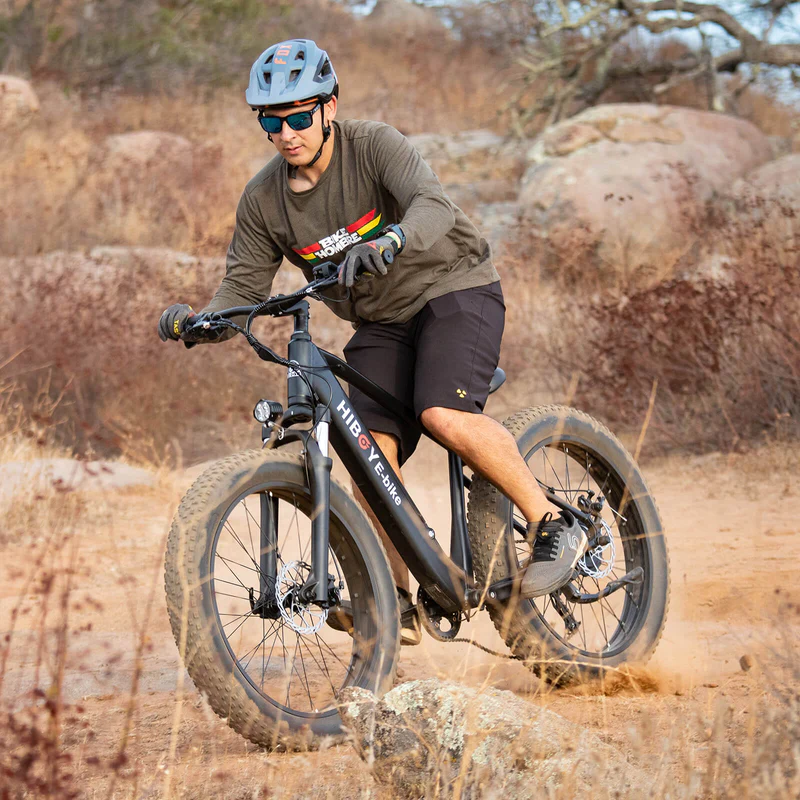Sky P6 Refurbished Fat Tire Electric Bike
