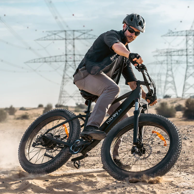 Sky P6 Fat Tire Electric Bike 2025